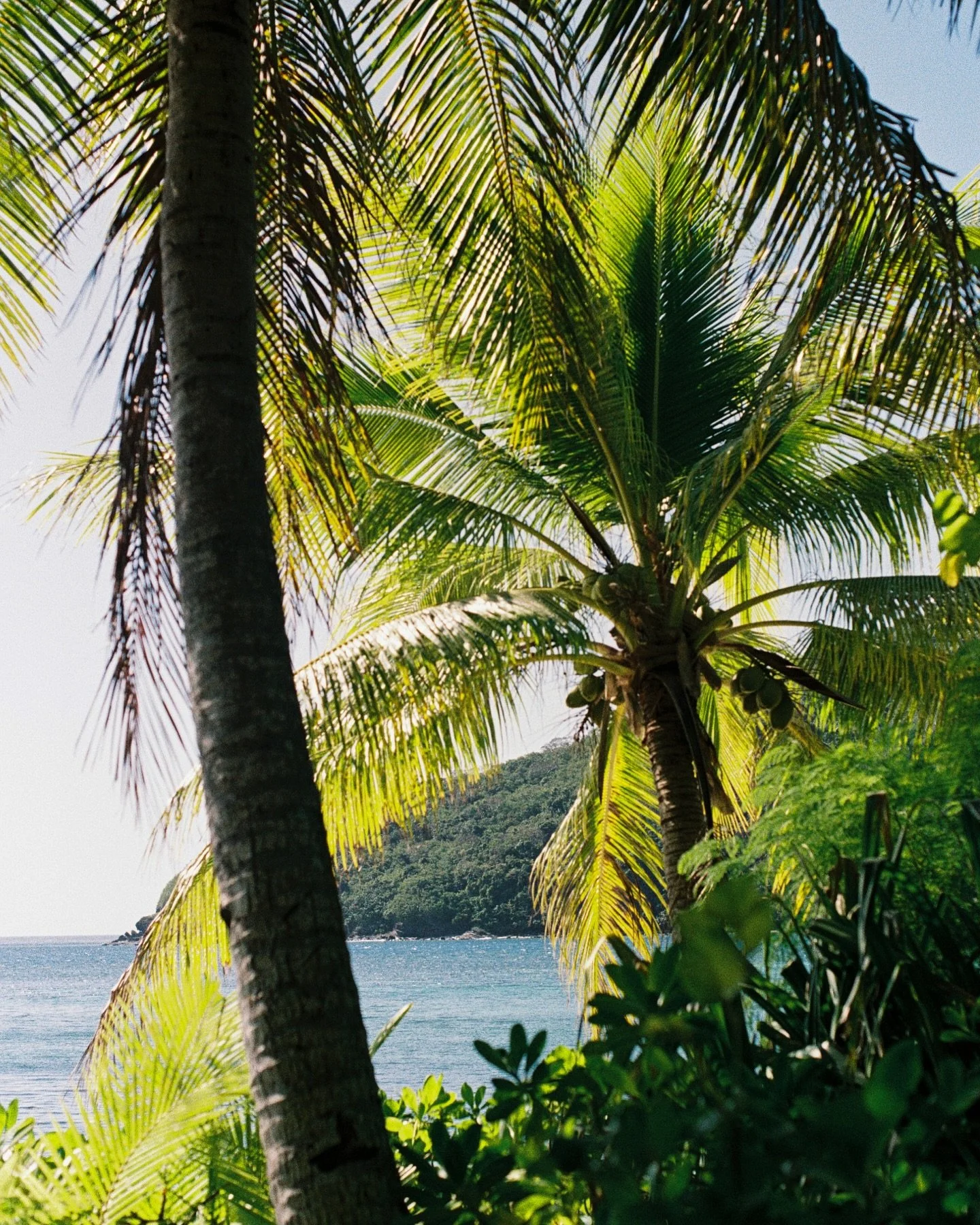 This &amp; no wifi.. in the Yasawa Islands of Fiji. Shot on 35mm film 🌴
.
.
.
#fiji #yasawaislands #analogphotography #35mm