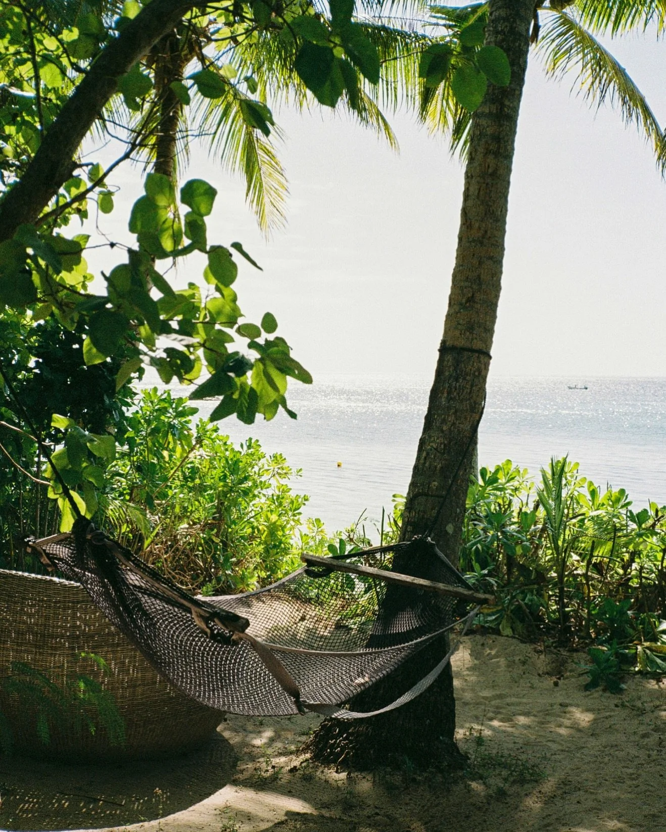 A little slice of paradise on 35mm in Fiji. 🧘🏽&zwj;♀️
.
.
.
#fiji #yasawa #analogphotographer #filmphotos #35mm