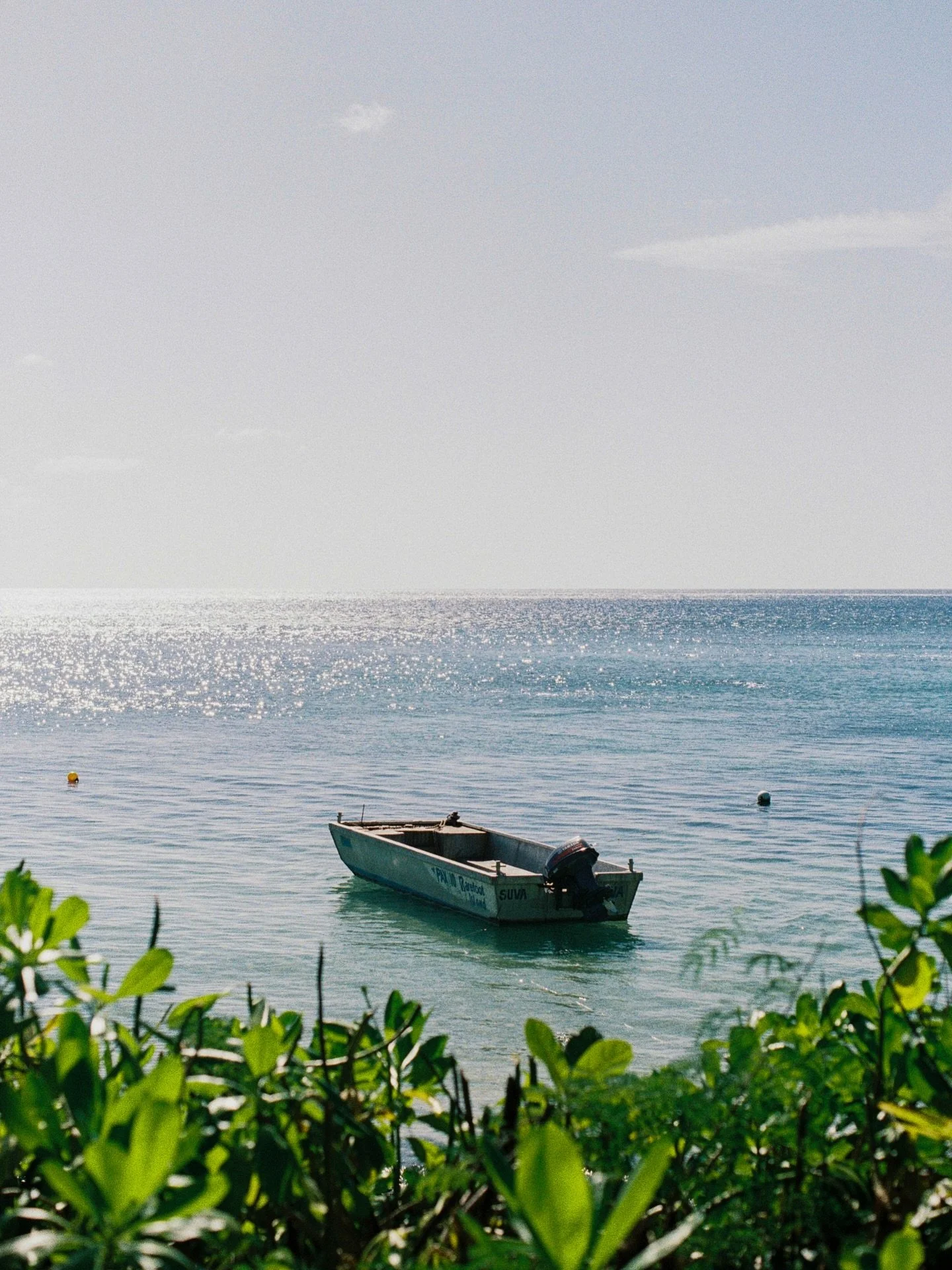 The view right outside our bungalow.. on 35mm film in Fiji. 🌴
.
.
.
.
#fiji #yasawa #analogphotographer #filmphotographer #35mmfilm