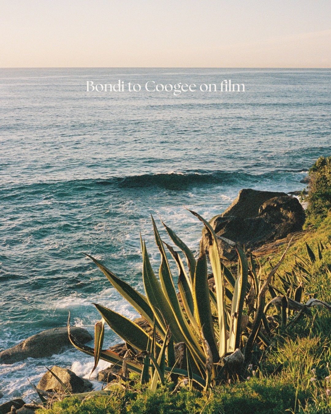 No city that&rsquo;s more awake at 5 AM than Sydney.. captured the stunning coastal walk from Bondi to Coogee with friends on film. 🇦🇺
.
.
.
#bondibeach #coogee #bonditobronte #analogphotography #35mm