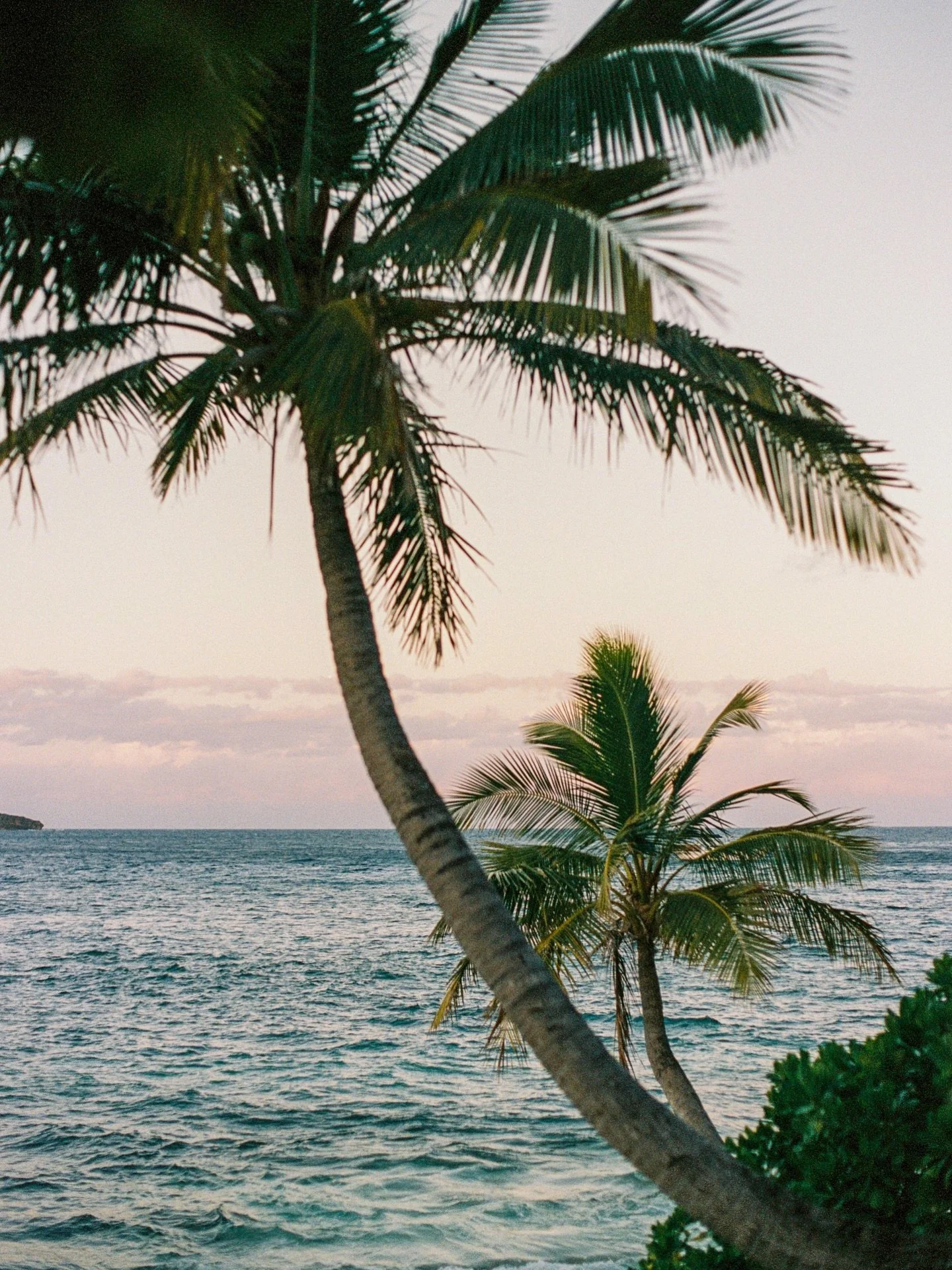 &ldquo;PARADISE&rdquo; shot on 35mm film in Fiji.. there&rsquo;s truly no where else like it. 🌴🤍
.
.
.
.
#analogphoto #filmphotograph #fiji #yasawaislands #fijiislands