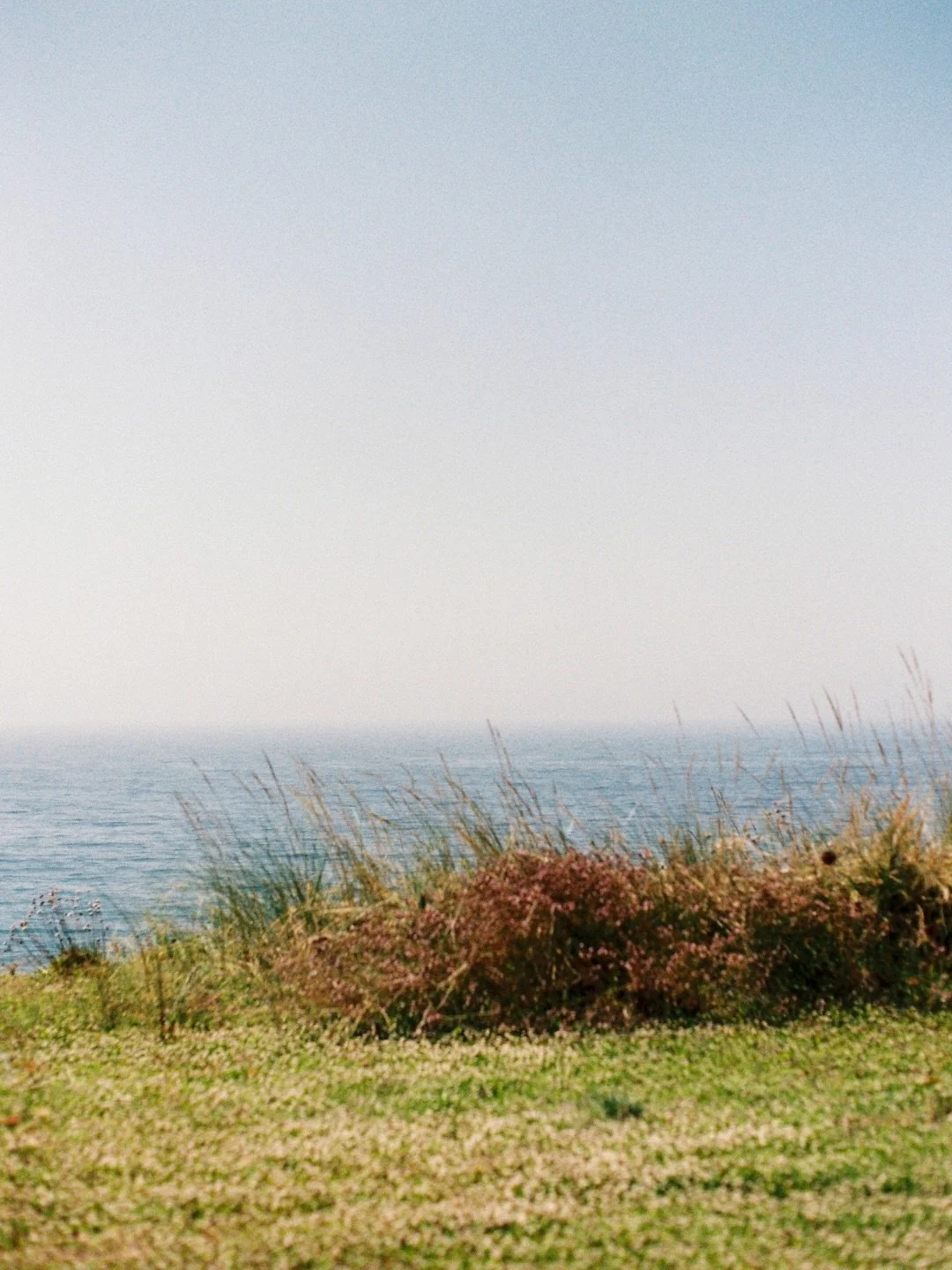 Nothing quite like that hazy Atlantic coast.. shot on 35mm film in Portugal. 🌀
.
.
.
.
#portugal #atlanticocean #35mmfilmphoto #analogphotos #filmphotograph