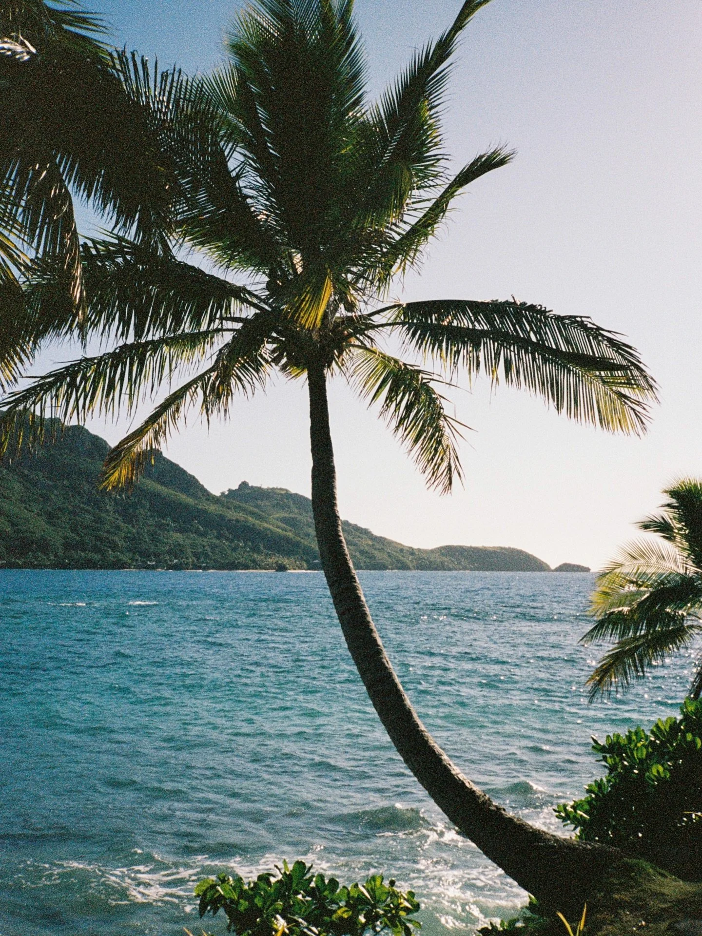 68 days until summer. I repeat: 68 DAYS UNTIL SUMMER 🌴☀️🥥
.
.
.
.
#fijiislands #yasawaislands #analogphotography #filmphotograph #beachday