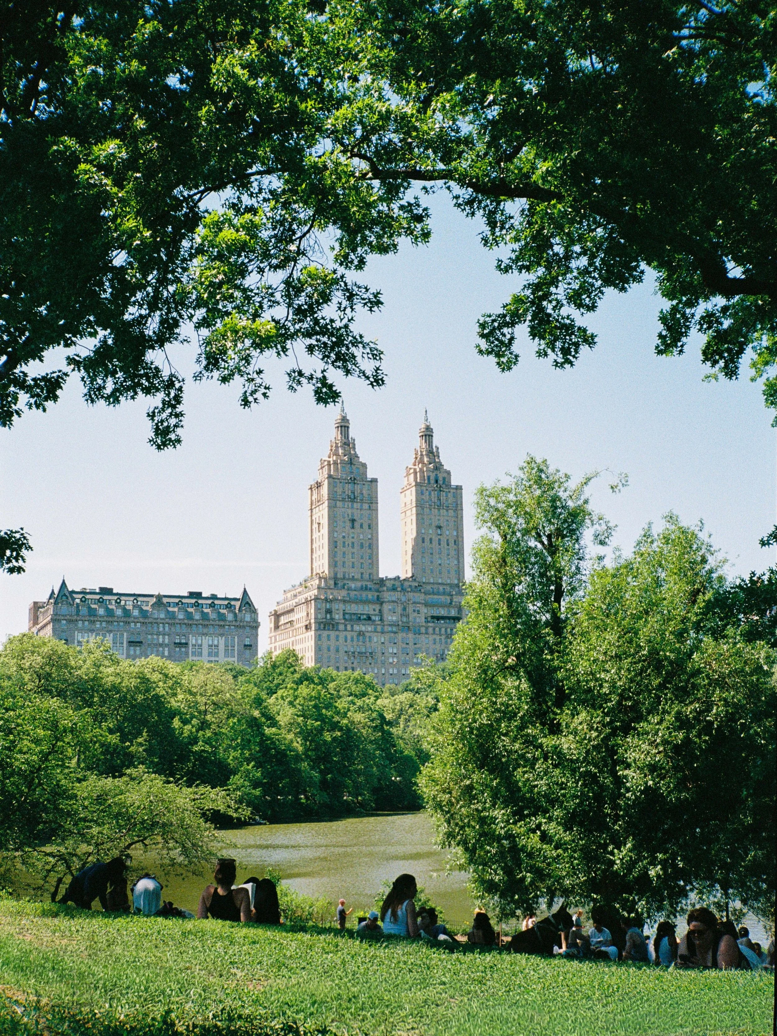A perfect day in Central Park on 35mm 🤍
.
.
.
.
#nyc #centralpark #newyorkcity #manhattan #analogphoto