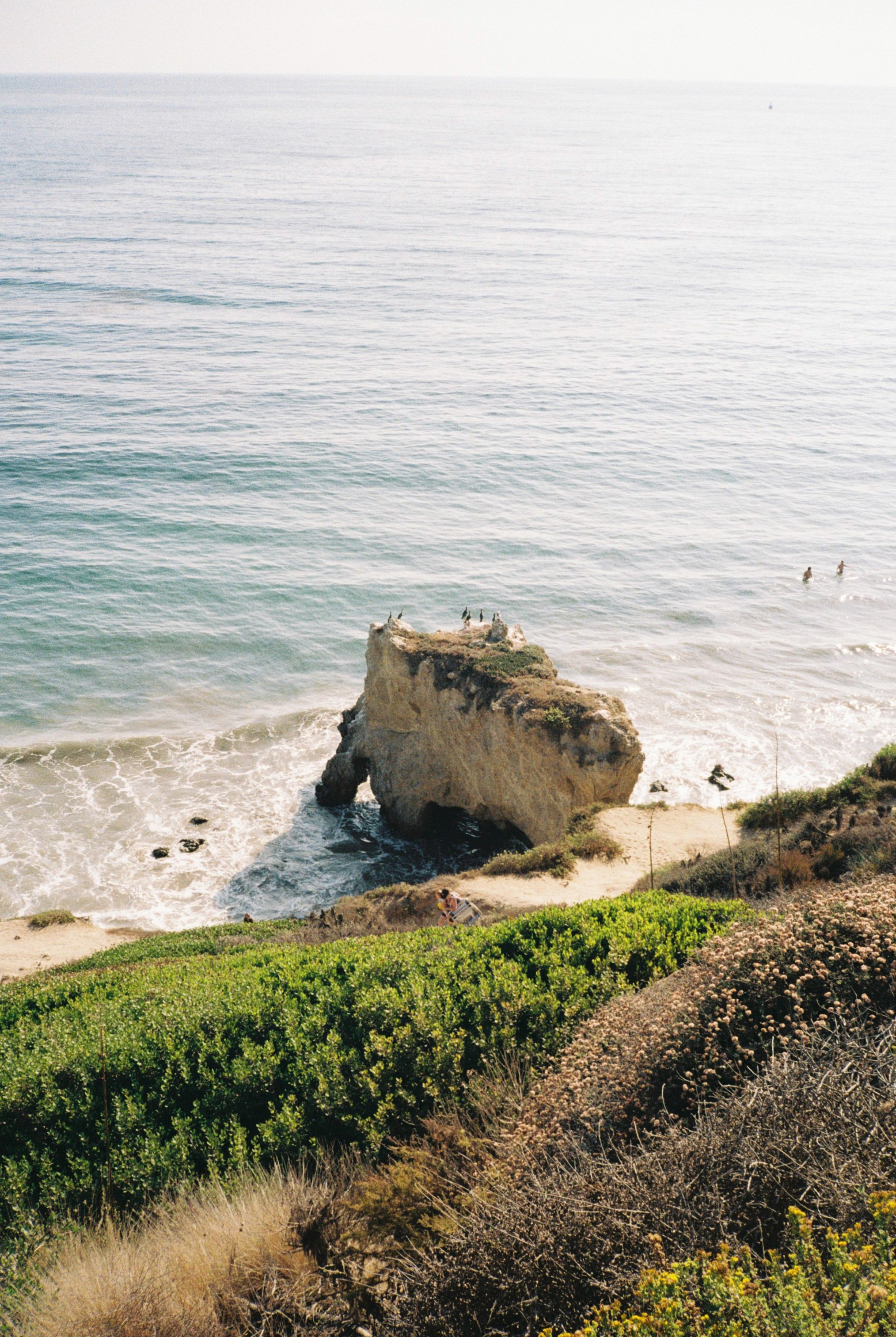 California4.jpg