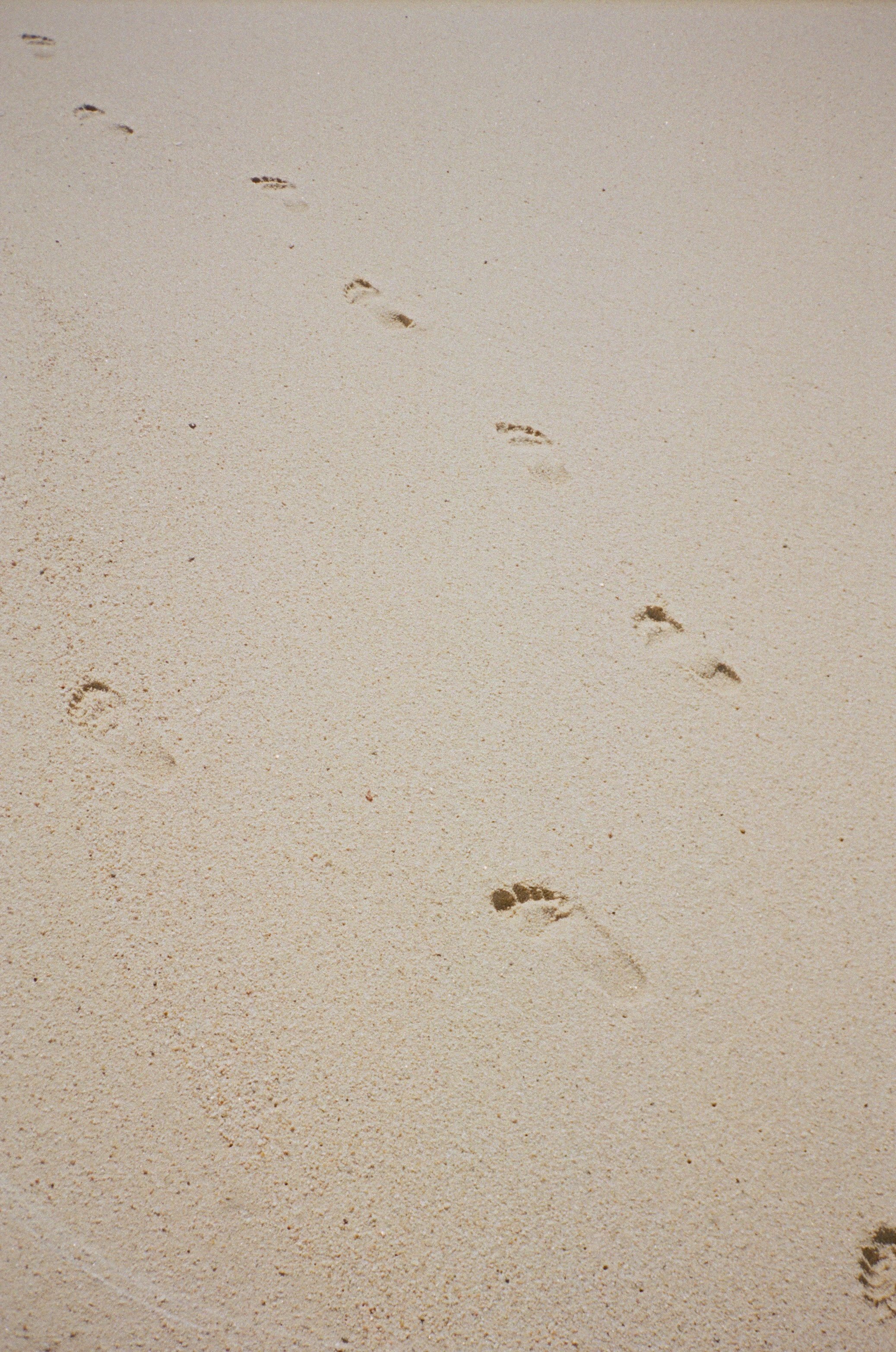 cabo san lucas 26.jpg