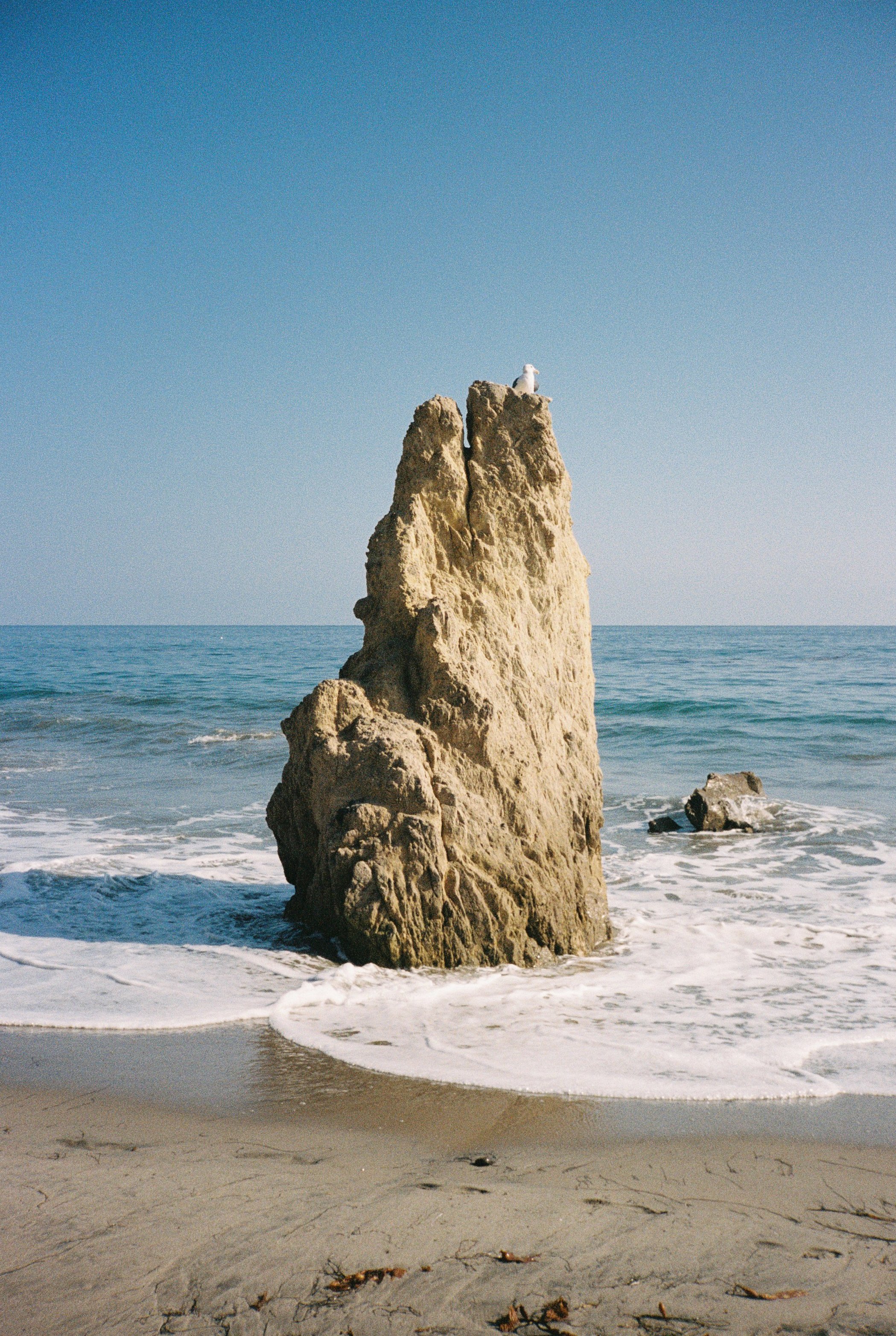 California10.jpg