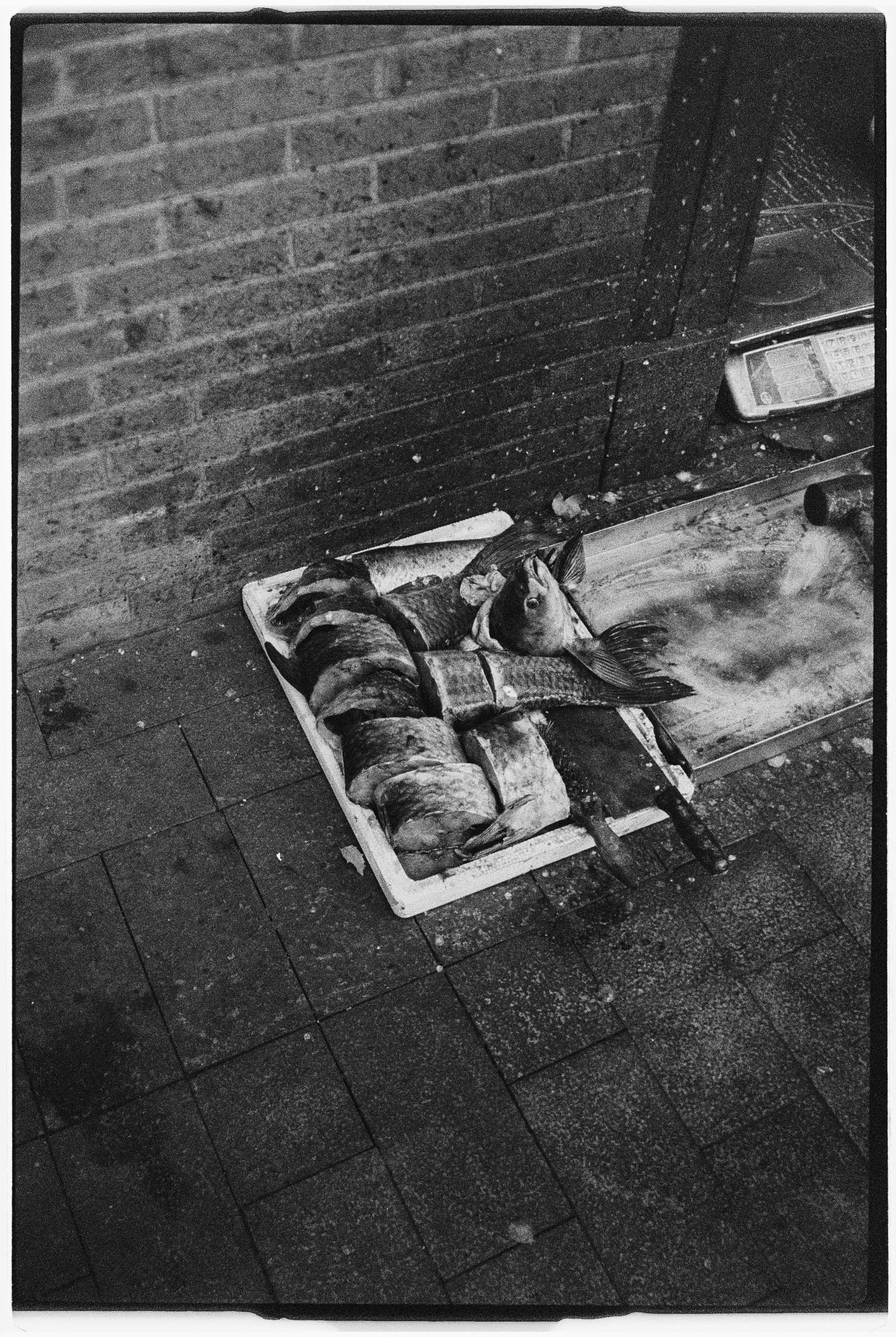 Loulou Roskam-38.jpg