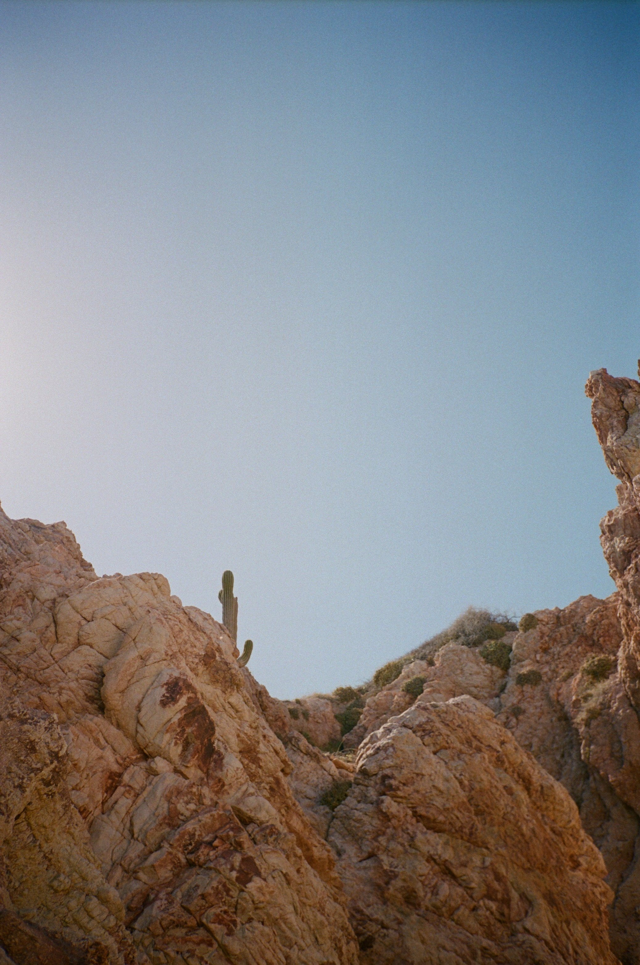 cabo san lucas 24.jpg