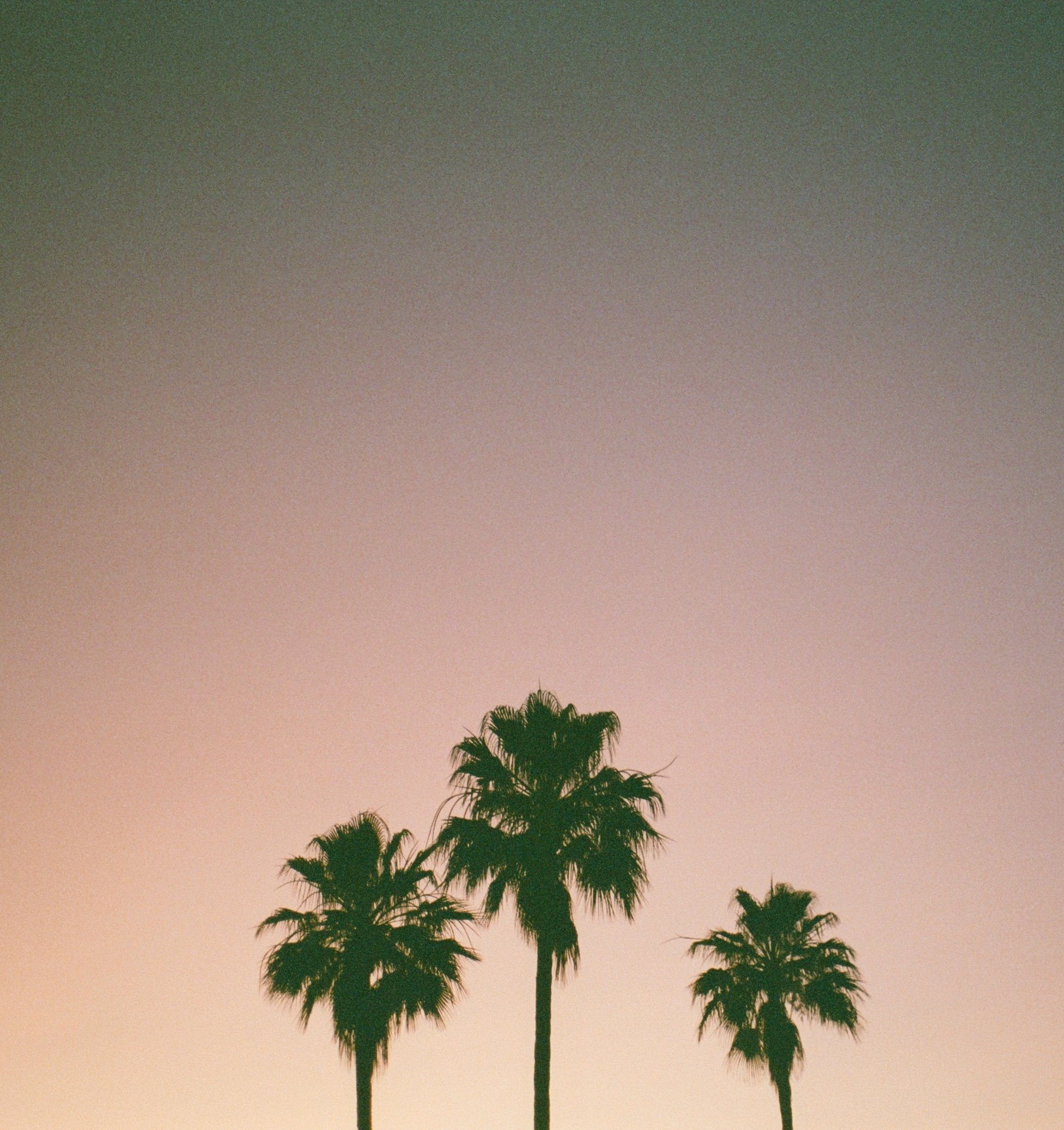 cabo san lucas 4.jpg