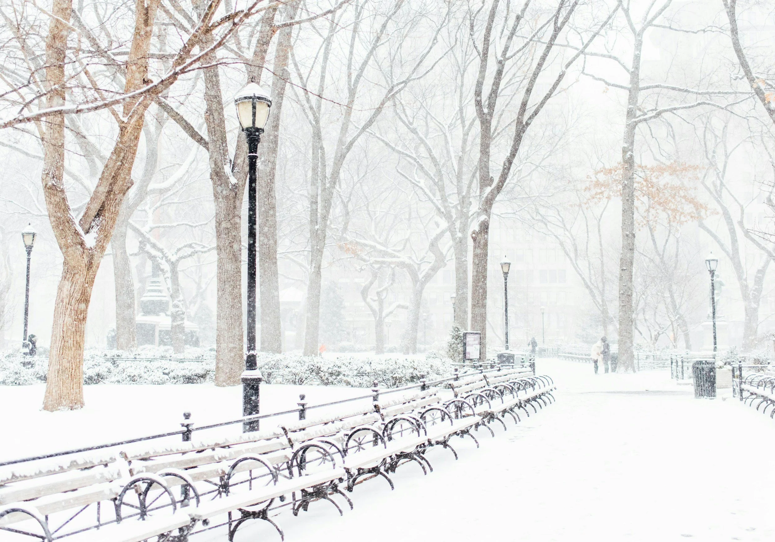 Coats in the City