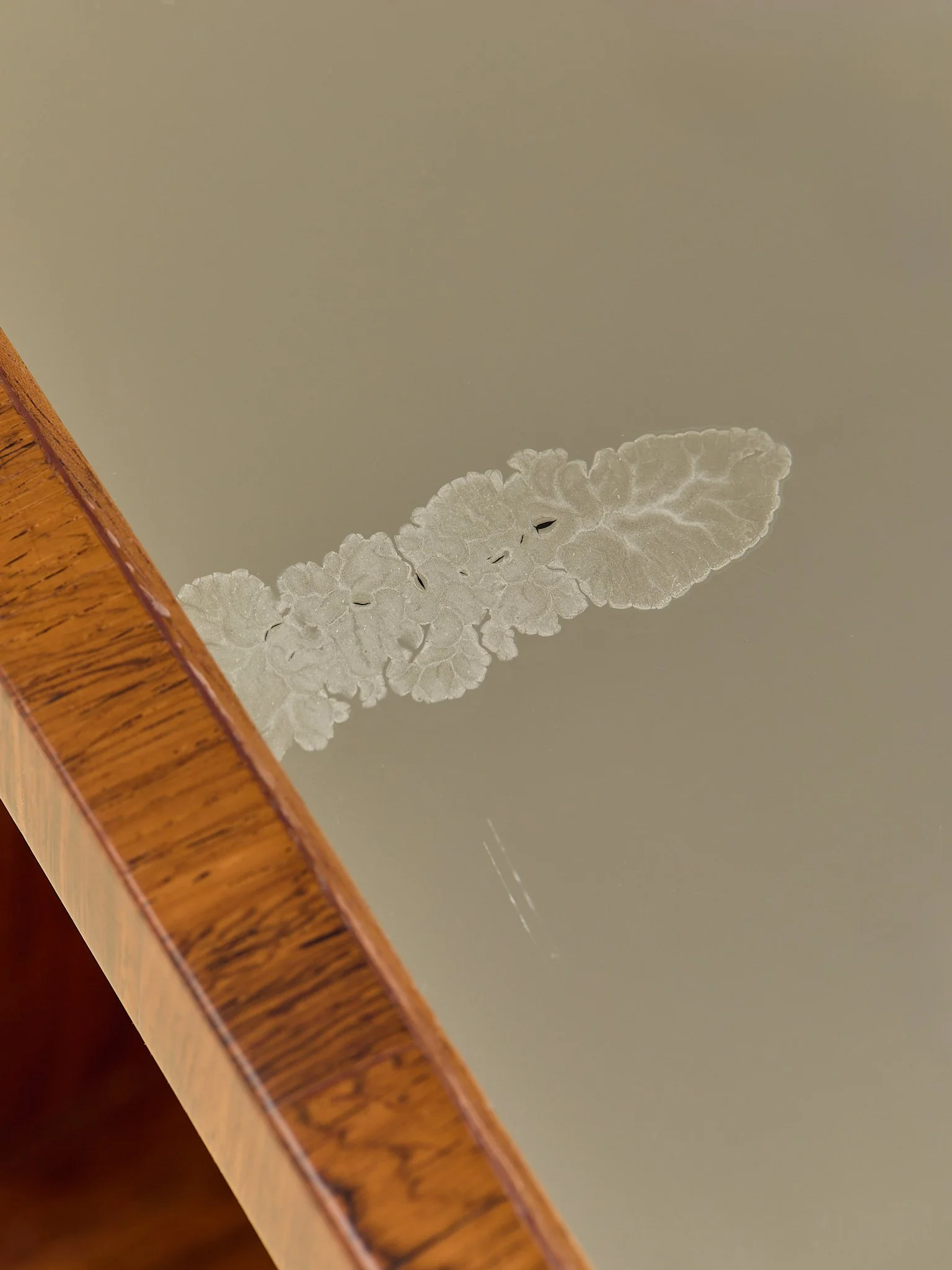 369_TheVintageFrenchAmboynaWood&MirroredTopSideTables_15.jpg