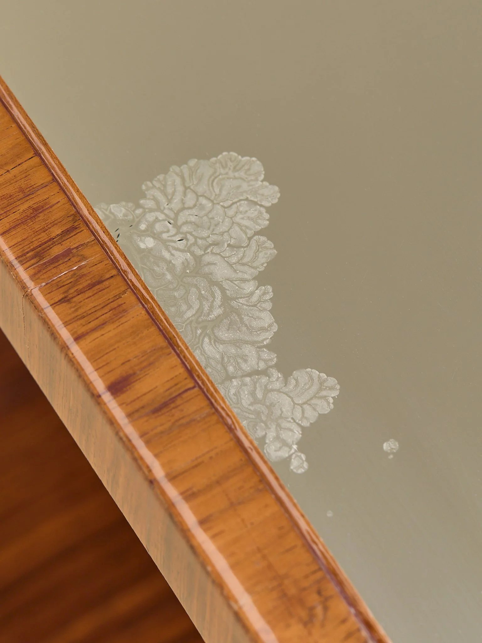 369_TheVintageFrenchAmboynaWood&MirroredTopSideTables_17.jpg