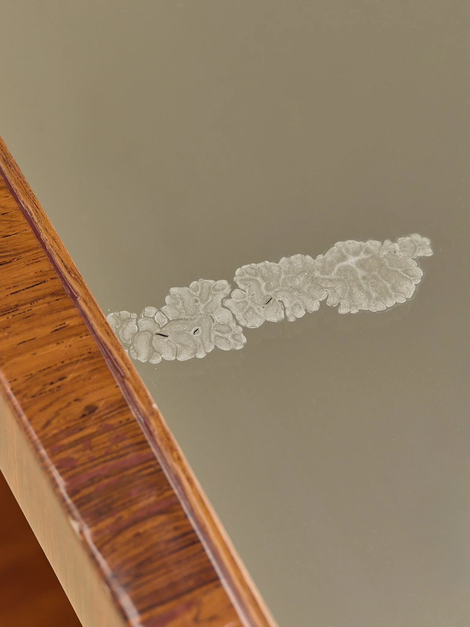 369_TheVintageFrenchAmboynaWood&MirroredTopSideTables_14.jpg