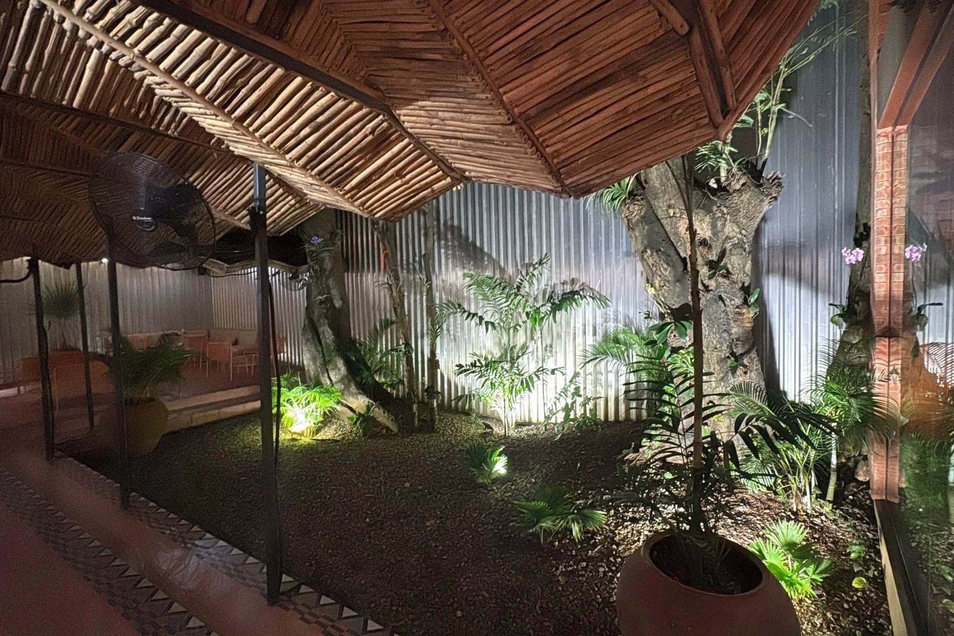 8563789A-5AFF-4D89-AF79-8919BAEF4CE9.jpg
