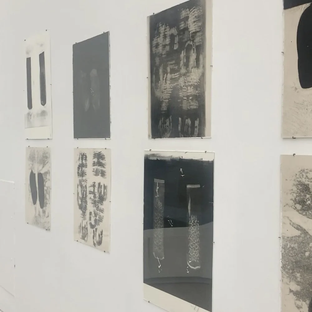 Pasted Graphic 13.jpeg