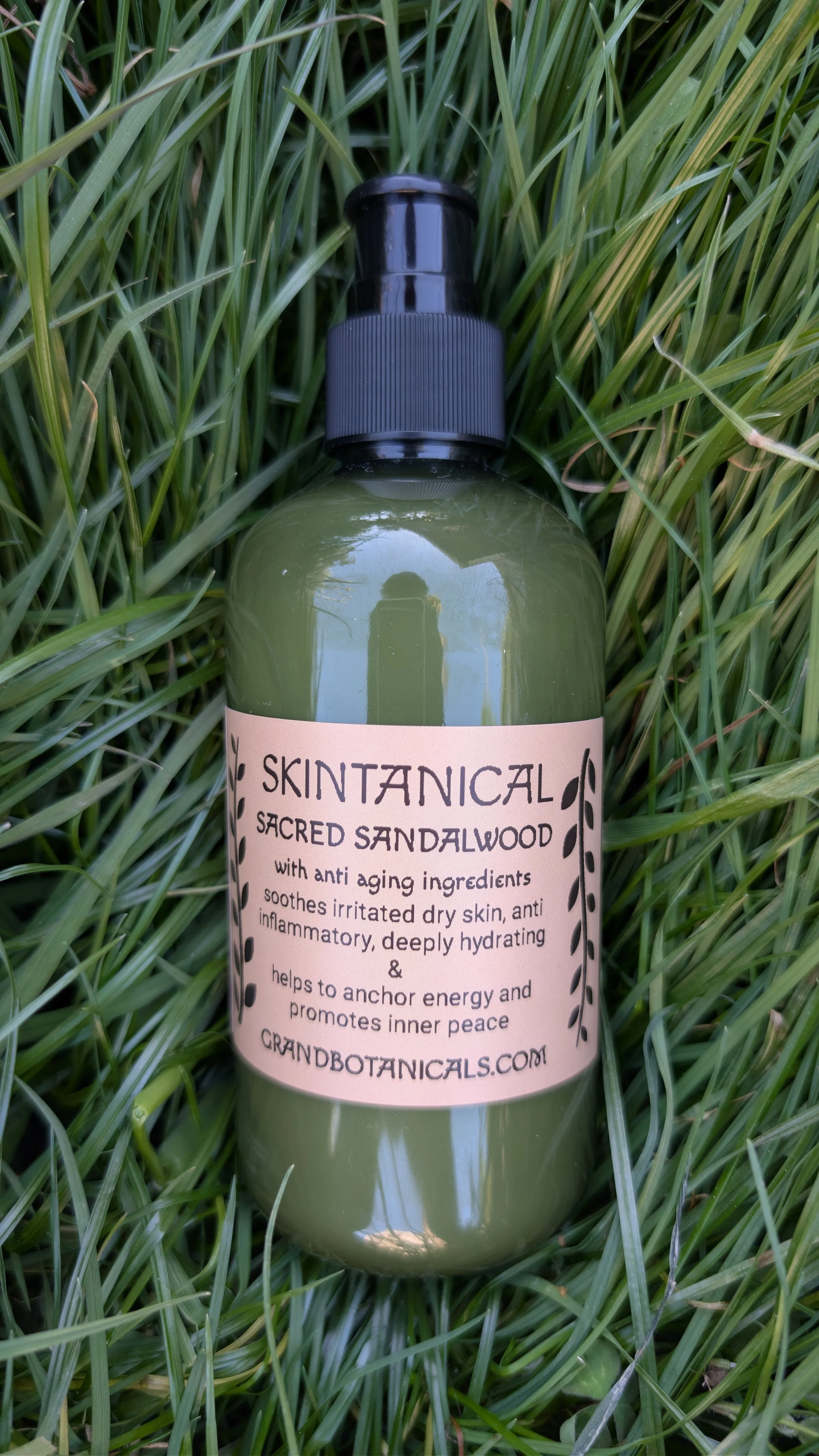 Sacred Sandalwood