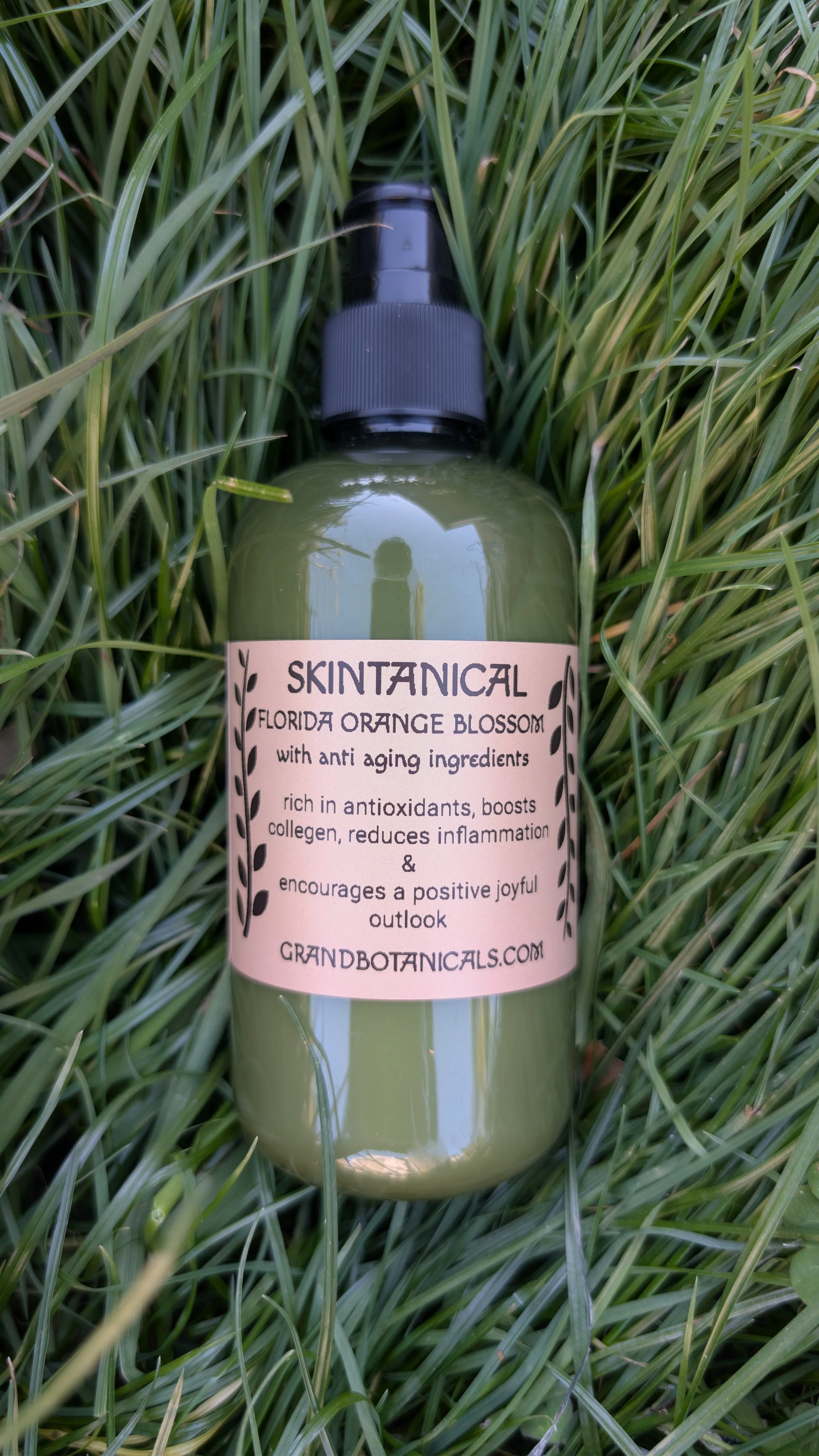 Florida Orange Blossom