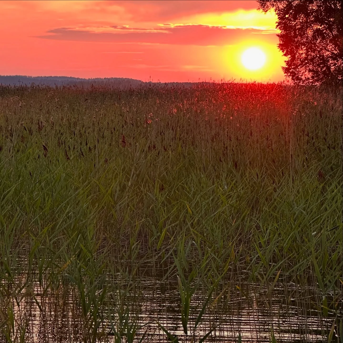 Sunset at Saima lake, Finland #JoinTheSearch
