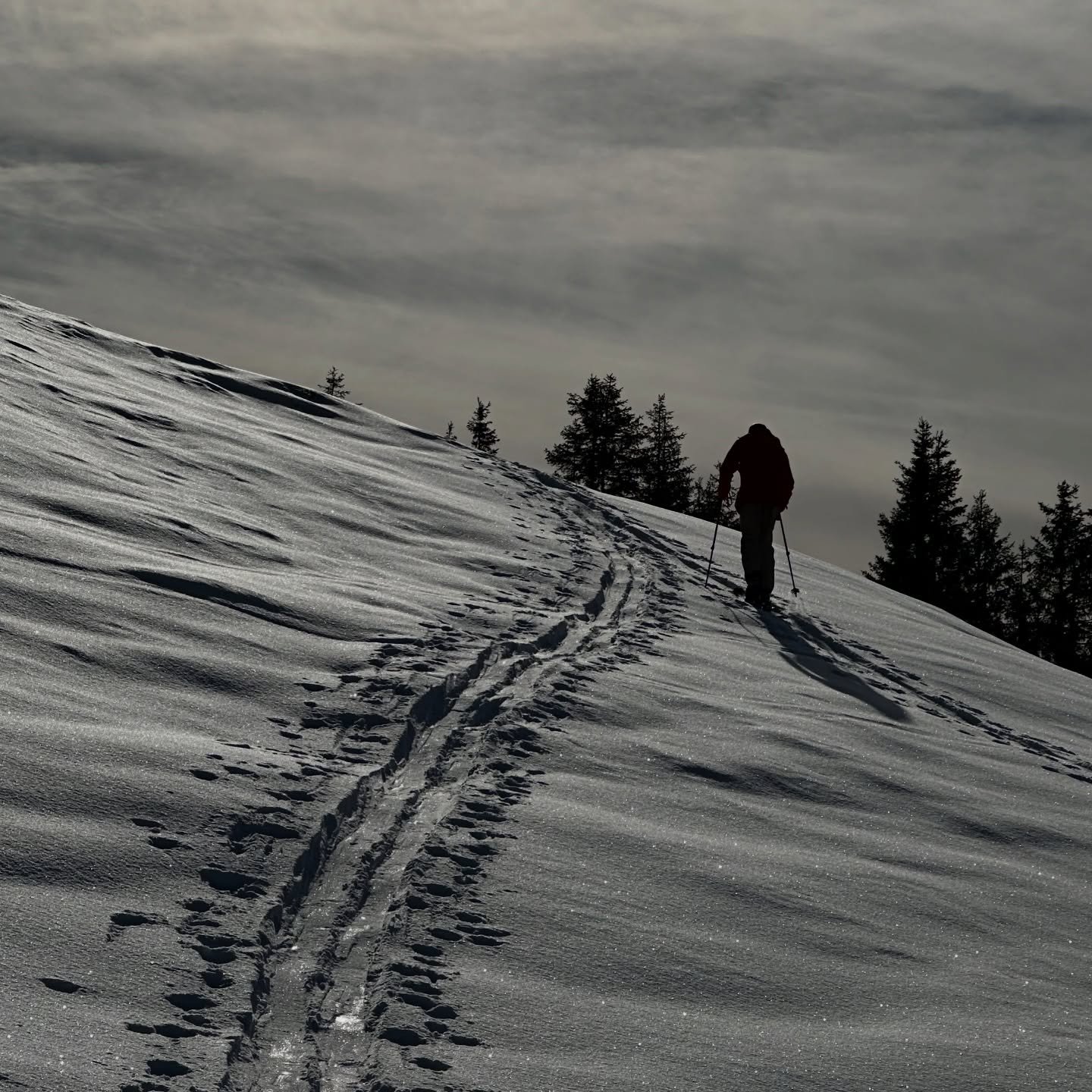@oskarhermelin ski touring in Austria #jointhesearch