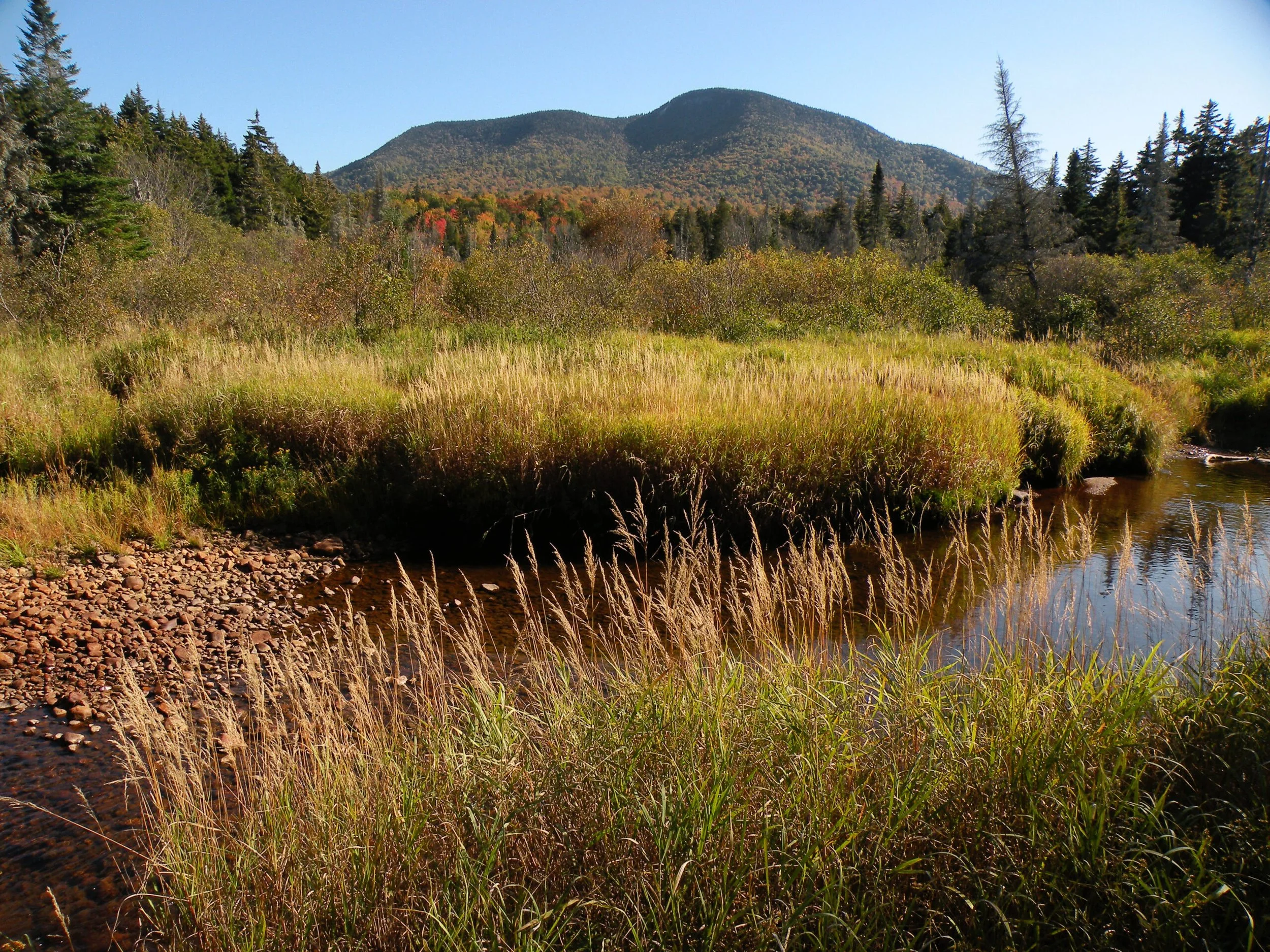 Coalition Asks the APA to Measure and Protect Remoteness in the Adirondack Park