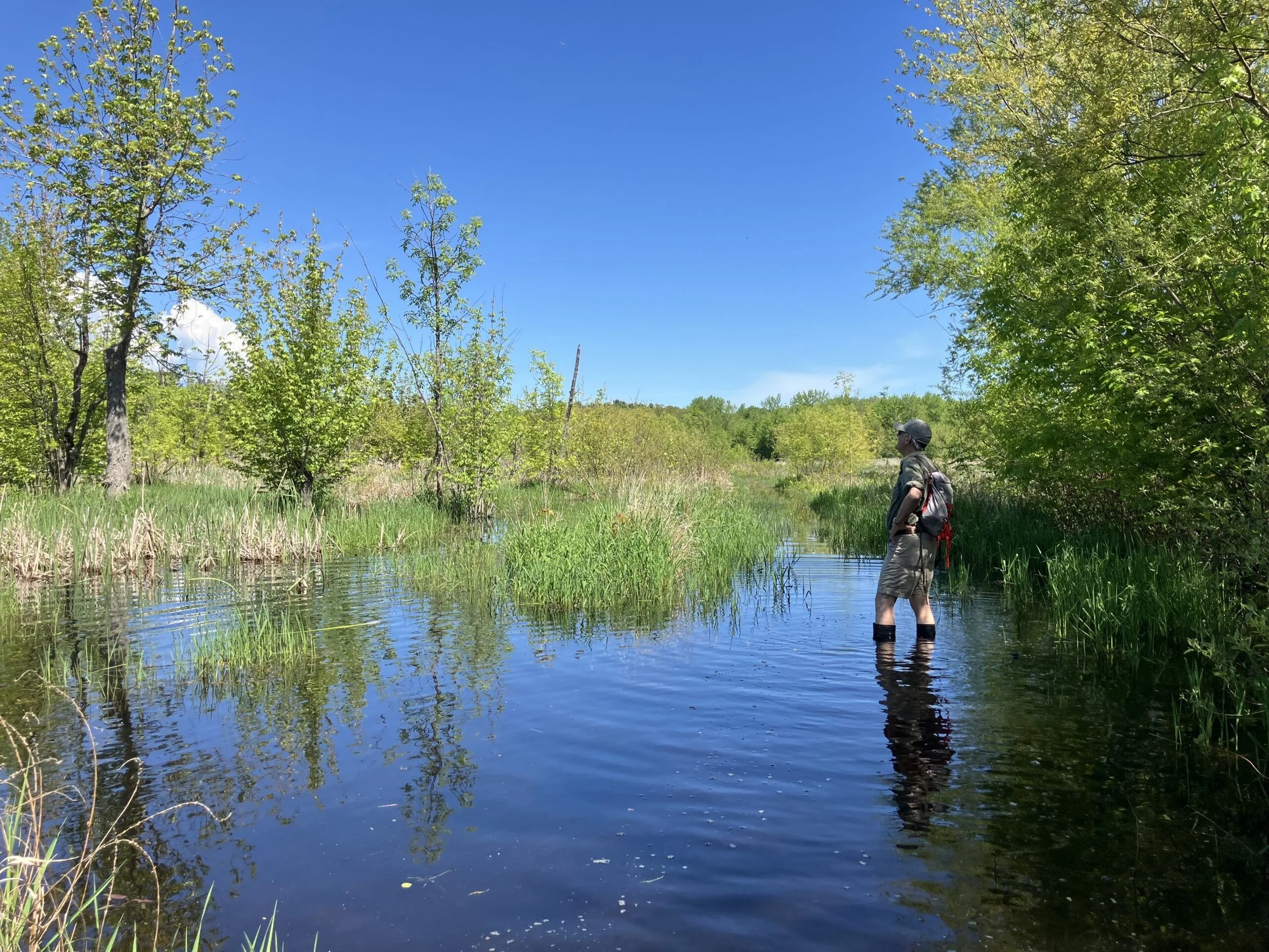 EXPLORE! Ausable Marsh