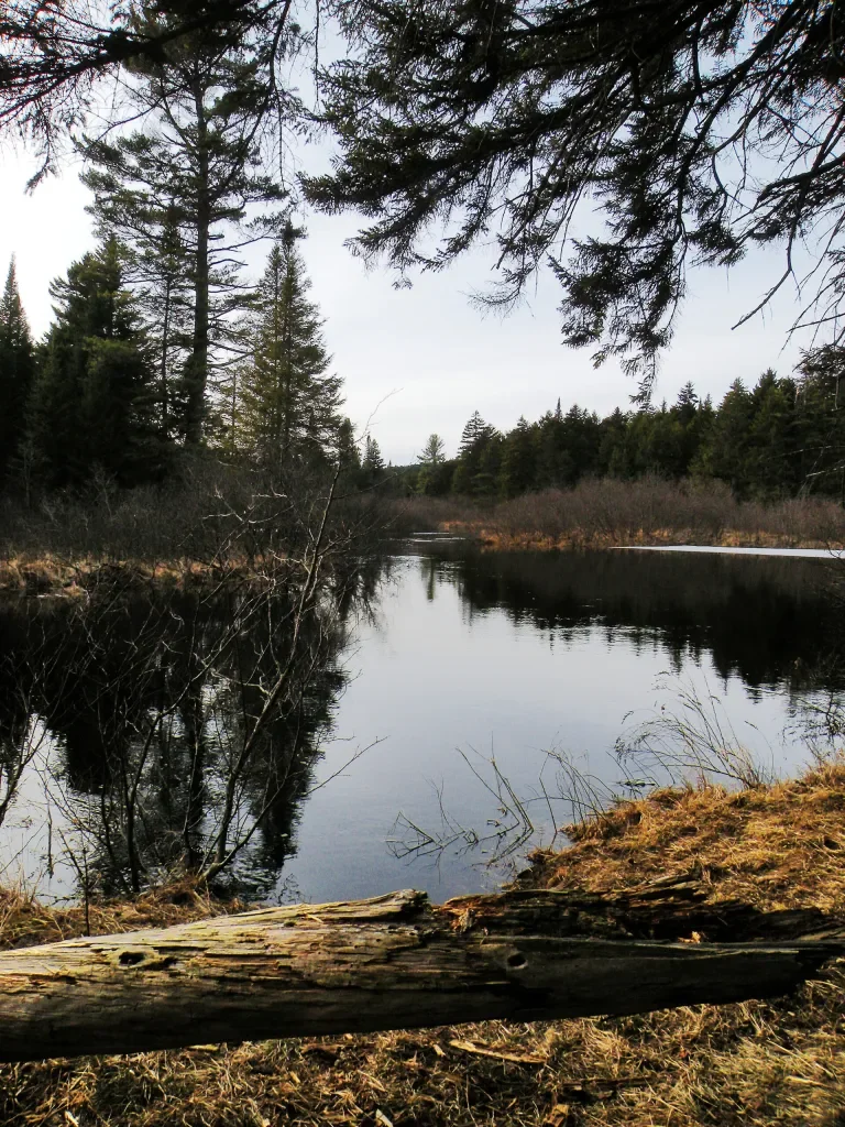 Bog River at Otter Point