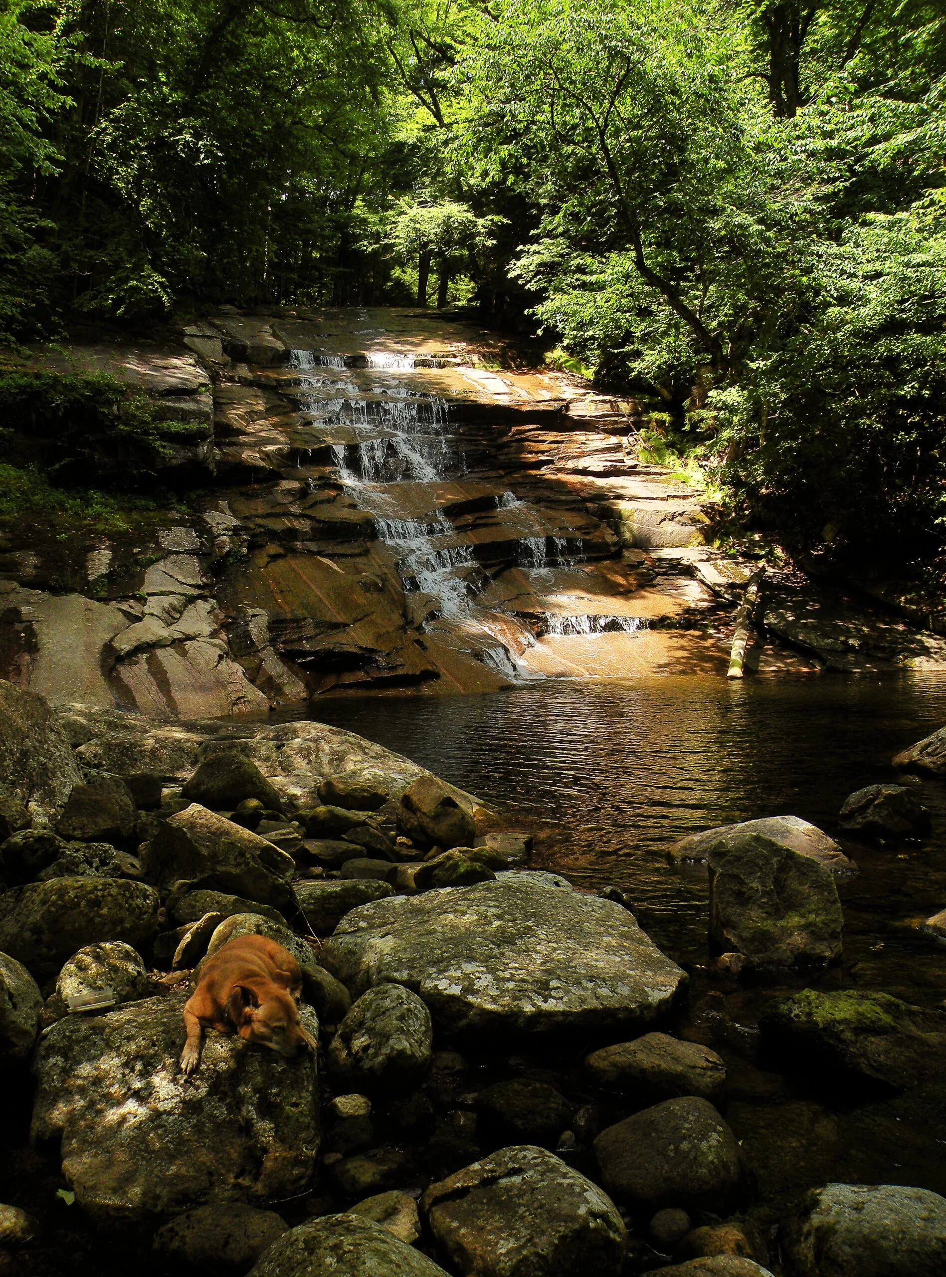 Jimmy Creek Falls