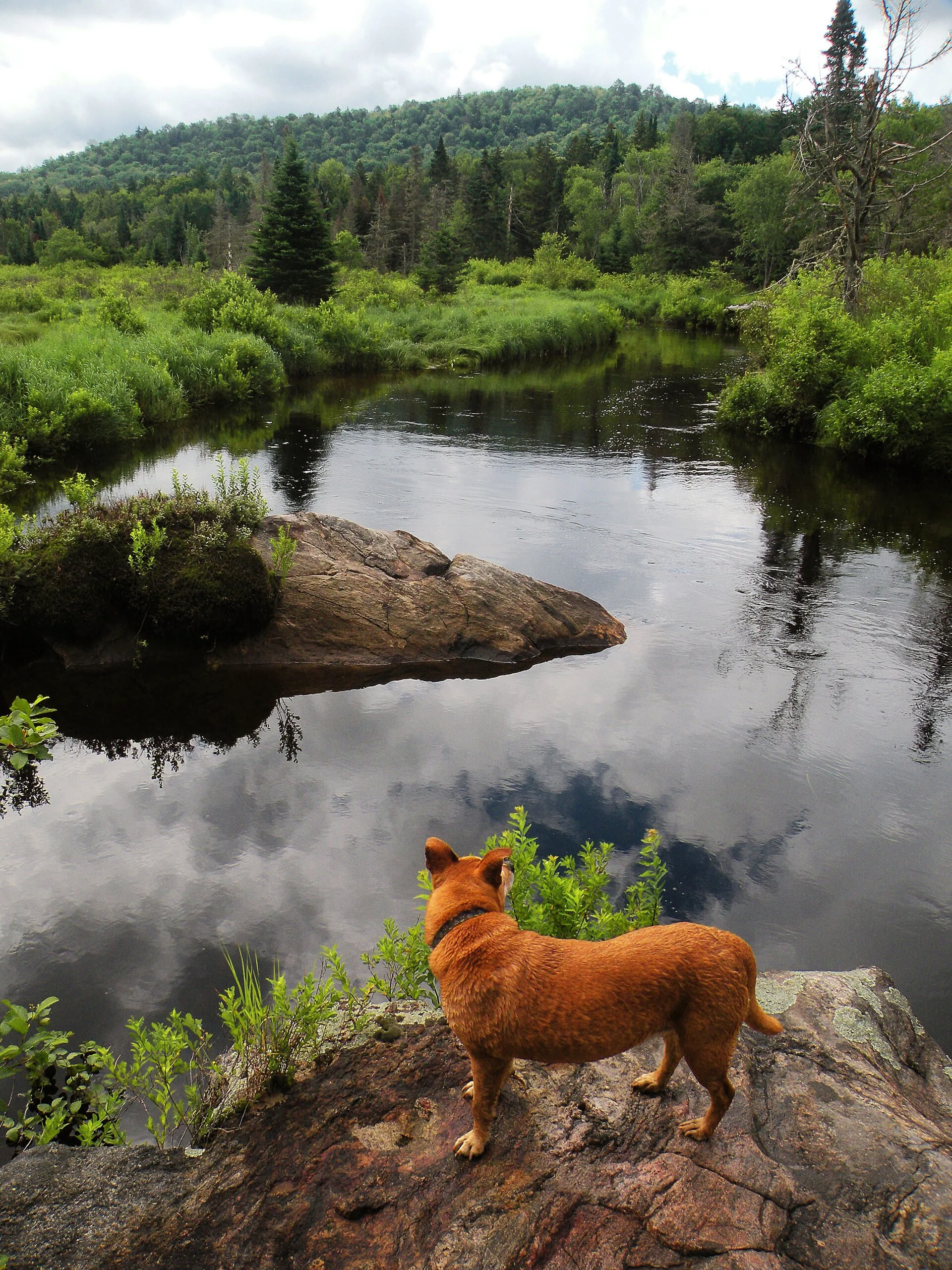 West Branch Sacandaga River