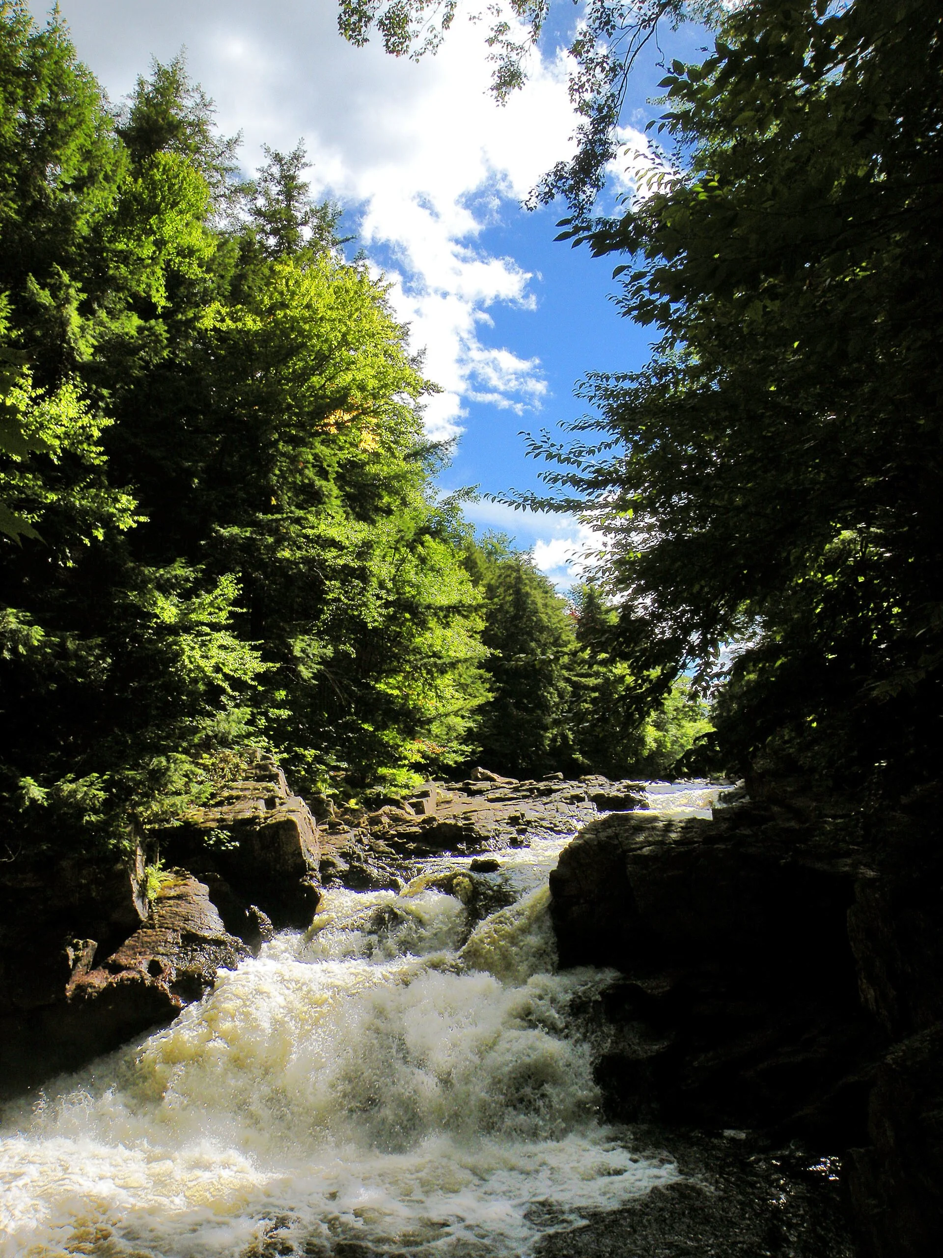 Cascade in the West Bank Gorge