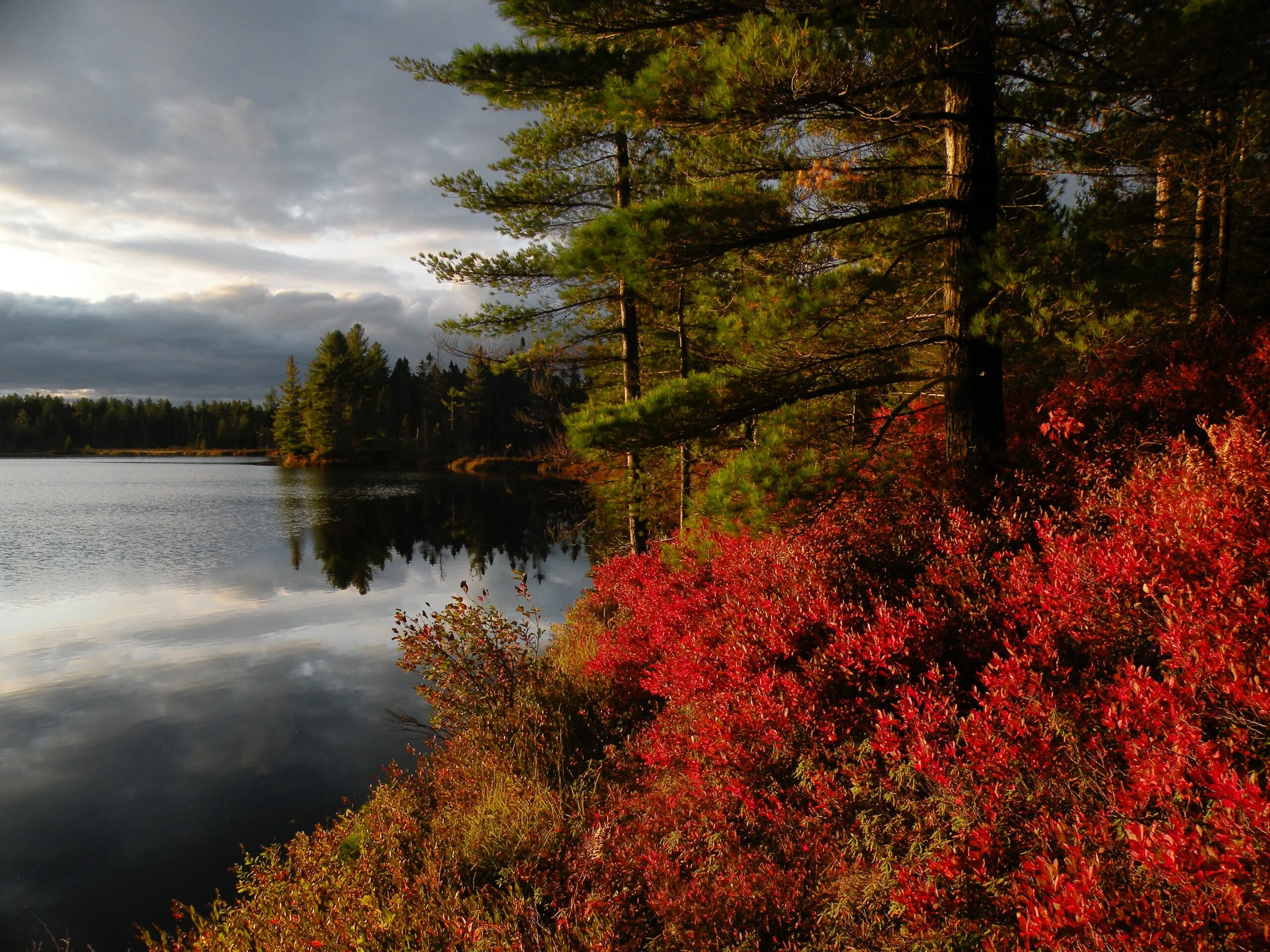 Little Salmon Lake