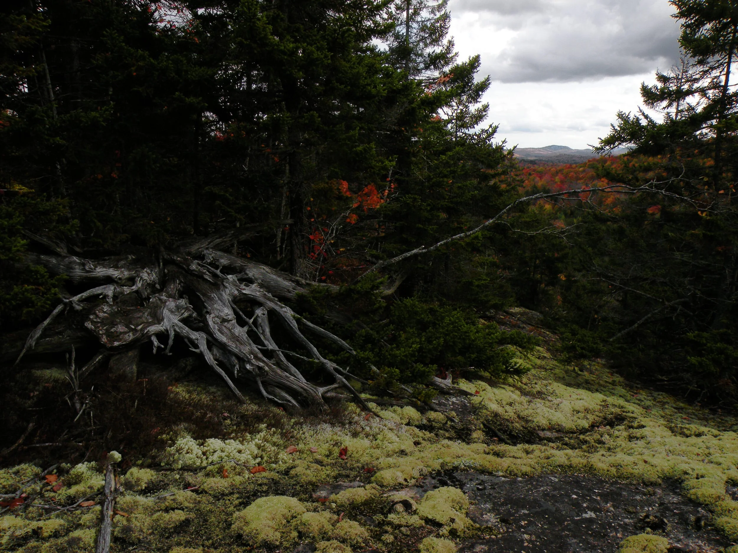 Frank Pond Mountain