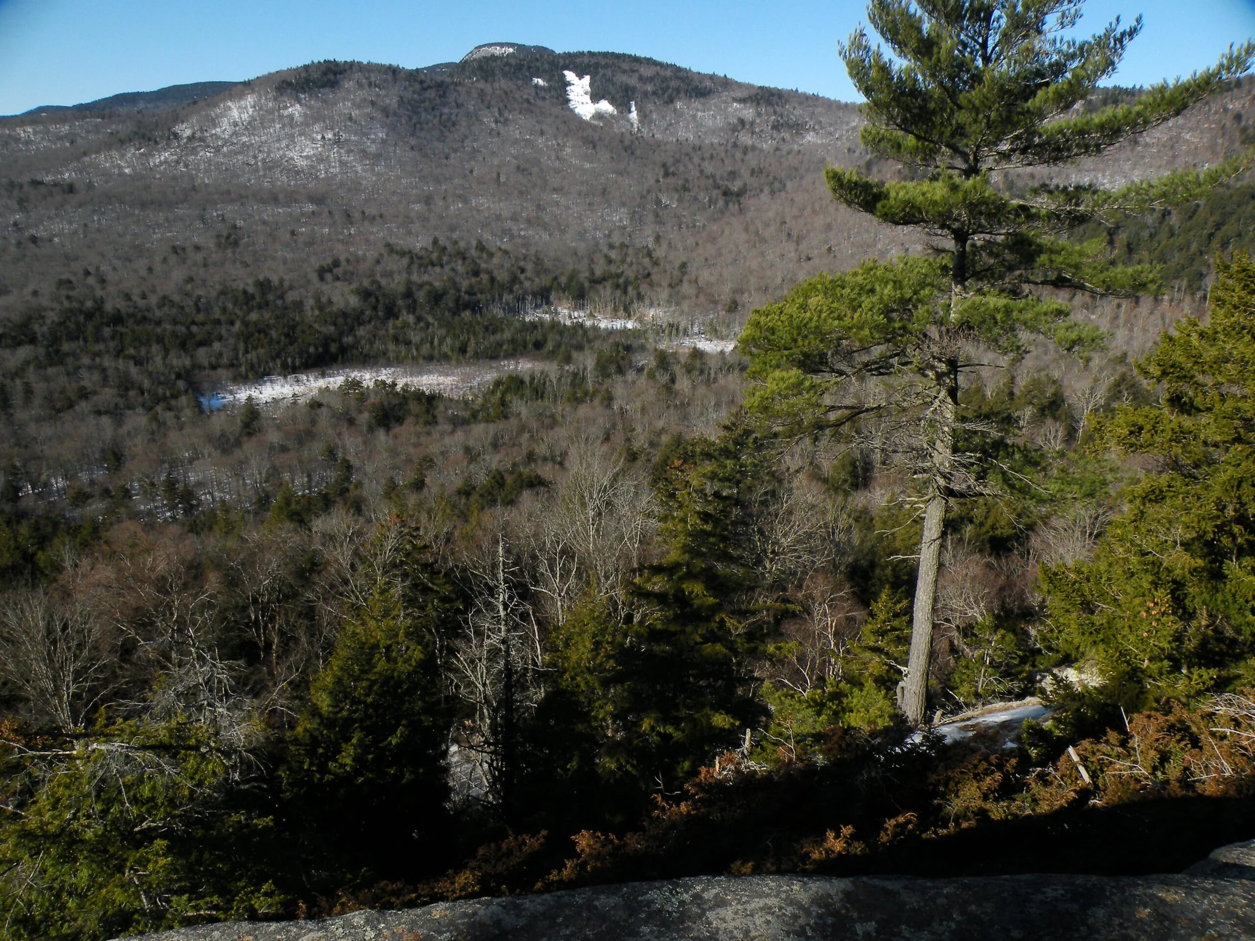 View from Watch Hill