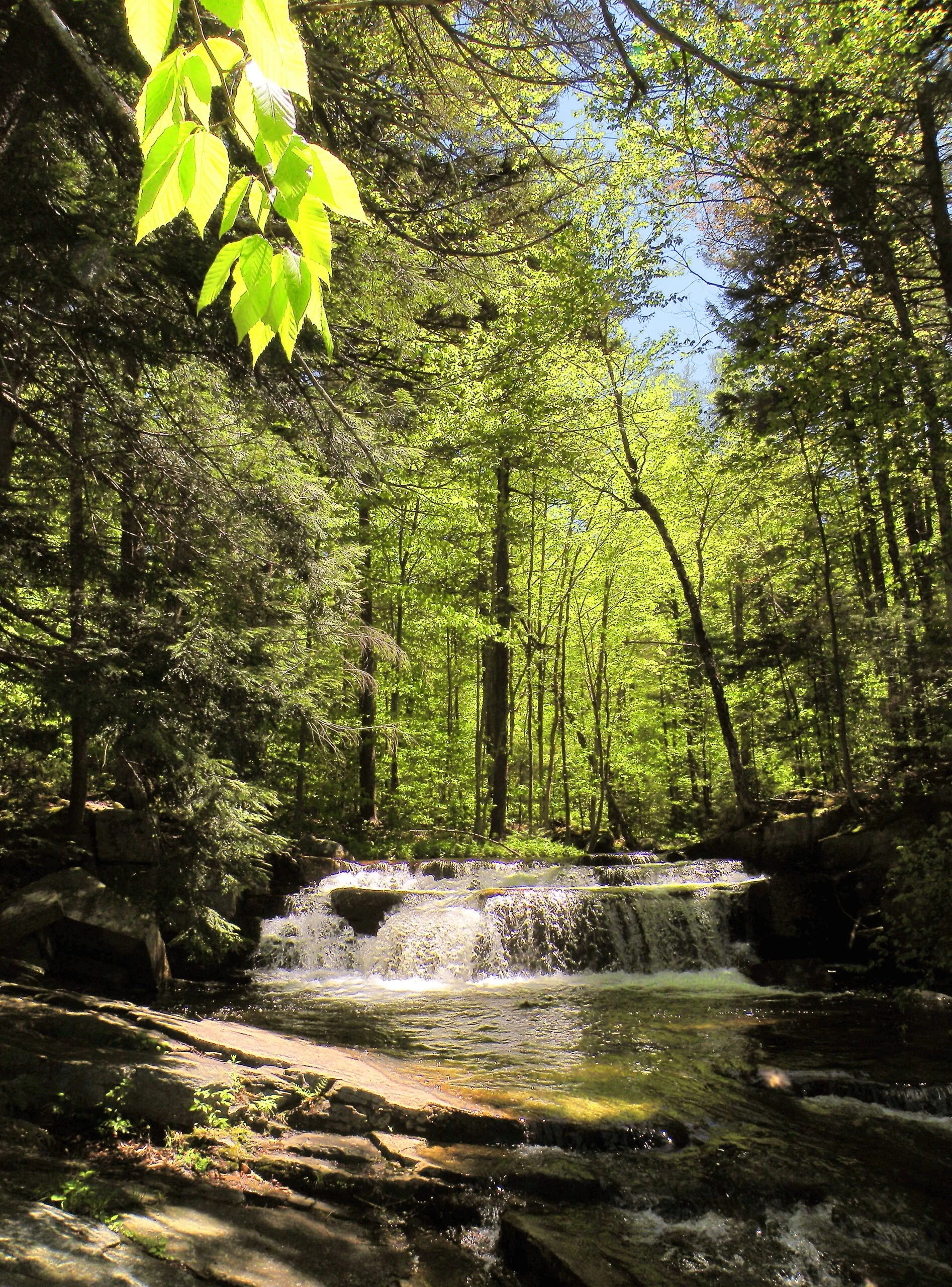 Lower Falls on Dug Mountain Brook