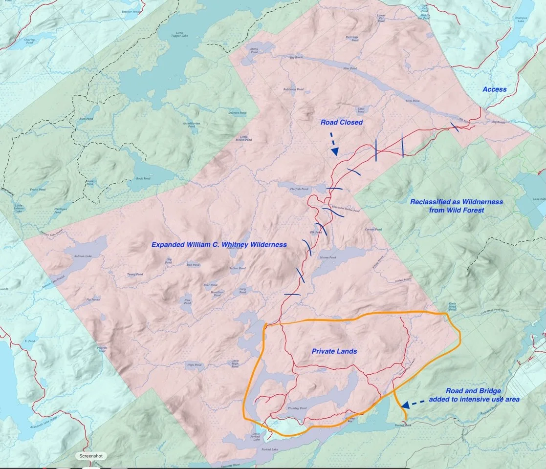 Musings on a future remote Whitney