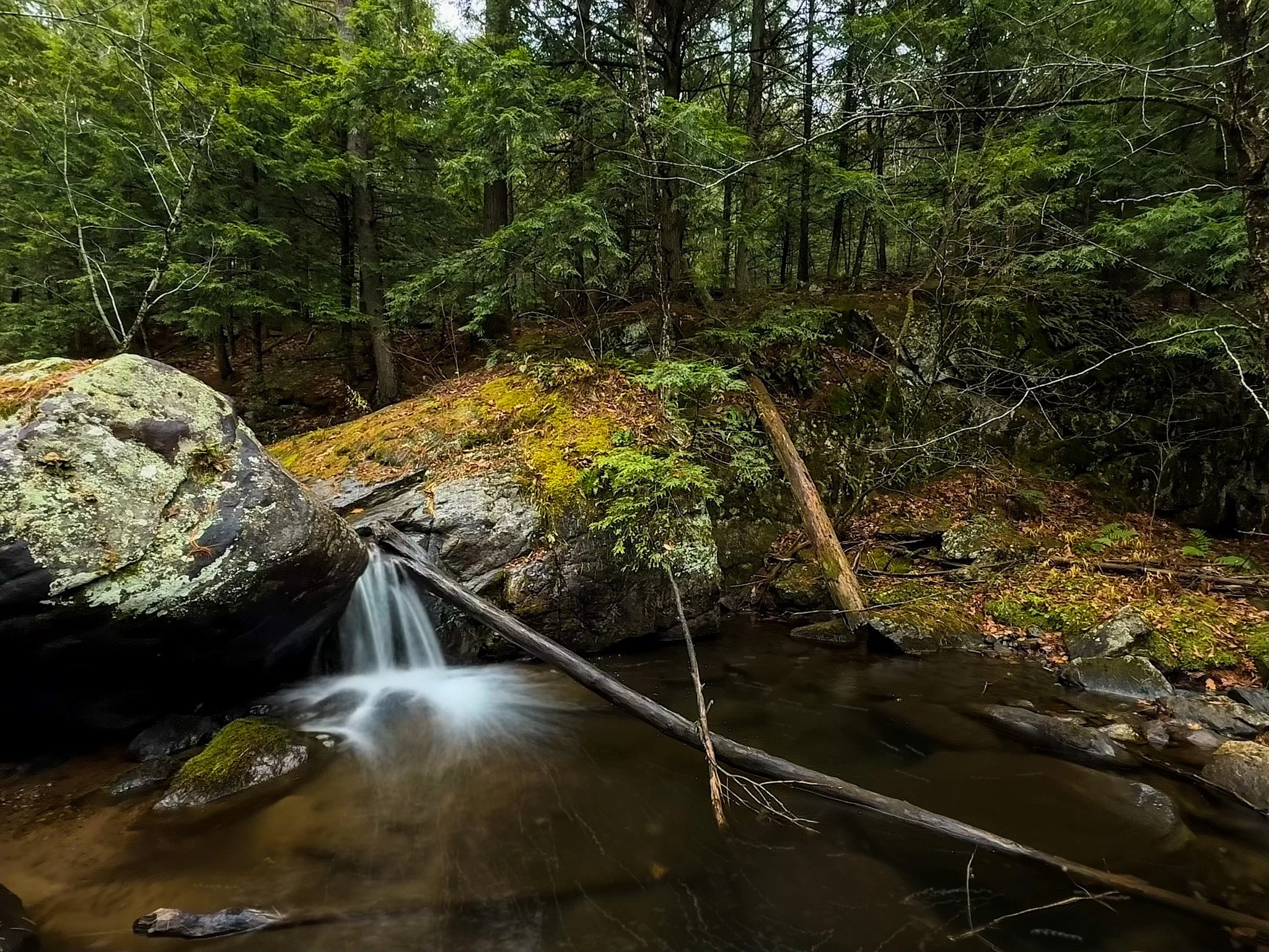 How are we Different?