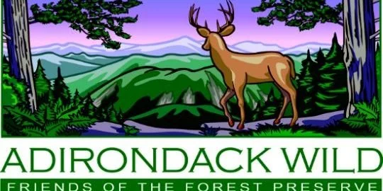 adirondackwild.jpg