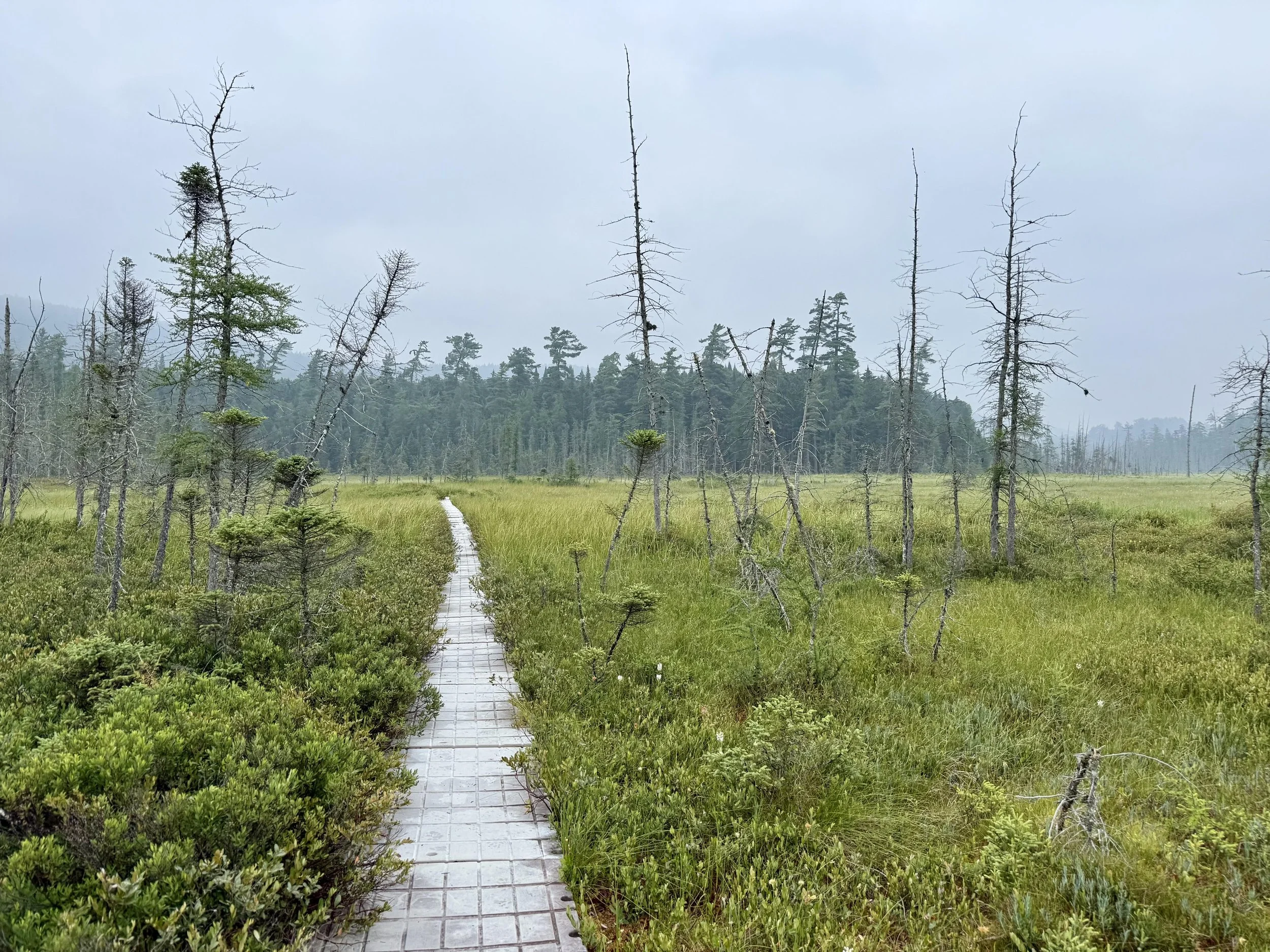 EXPLORE! Ferd’s Bog