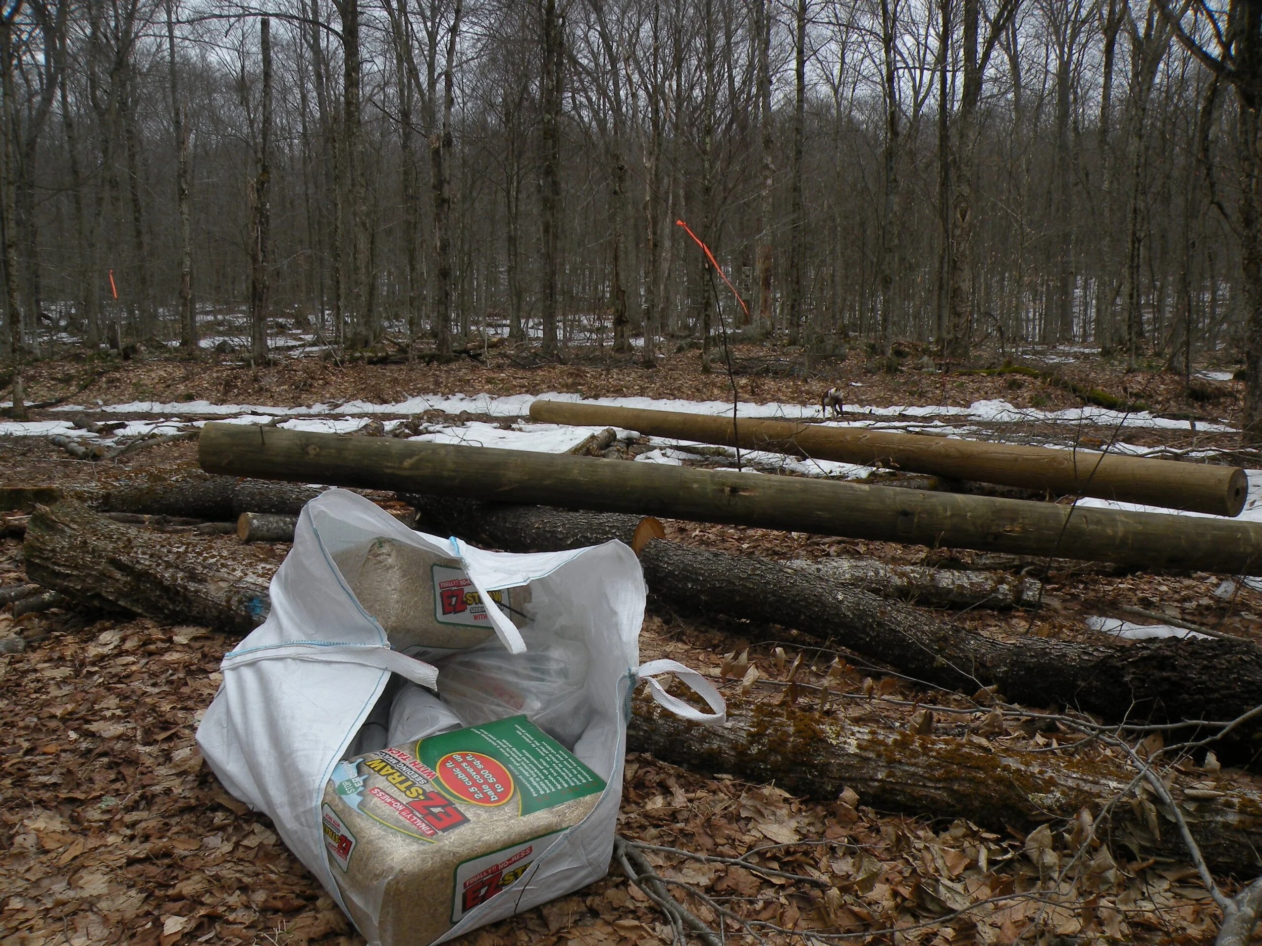 Wilderness Drop Zones: A Poor Management Practice
