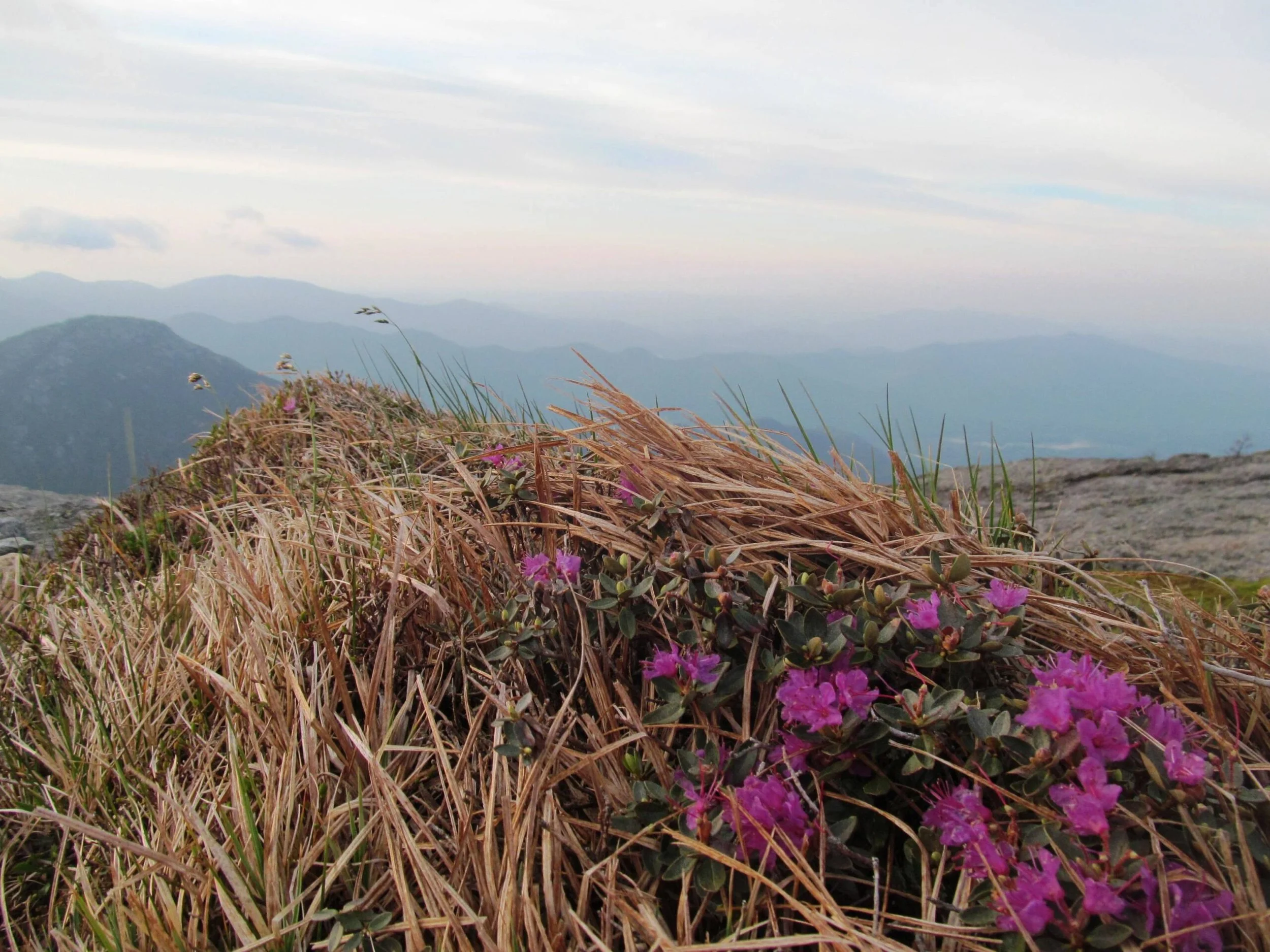 A Message to the Adirondack Wilderness Community