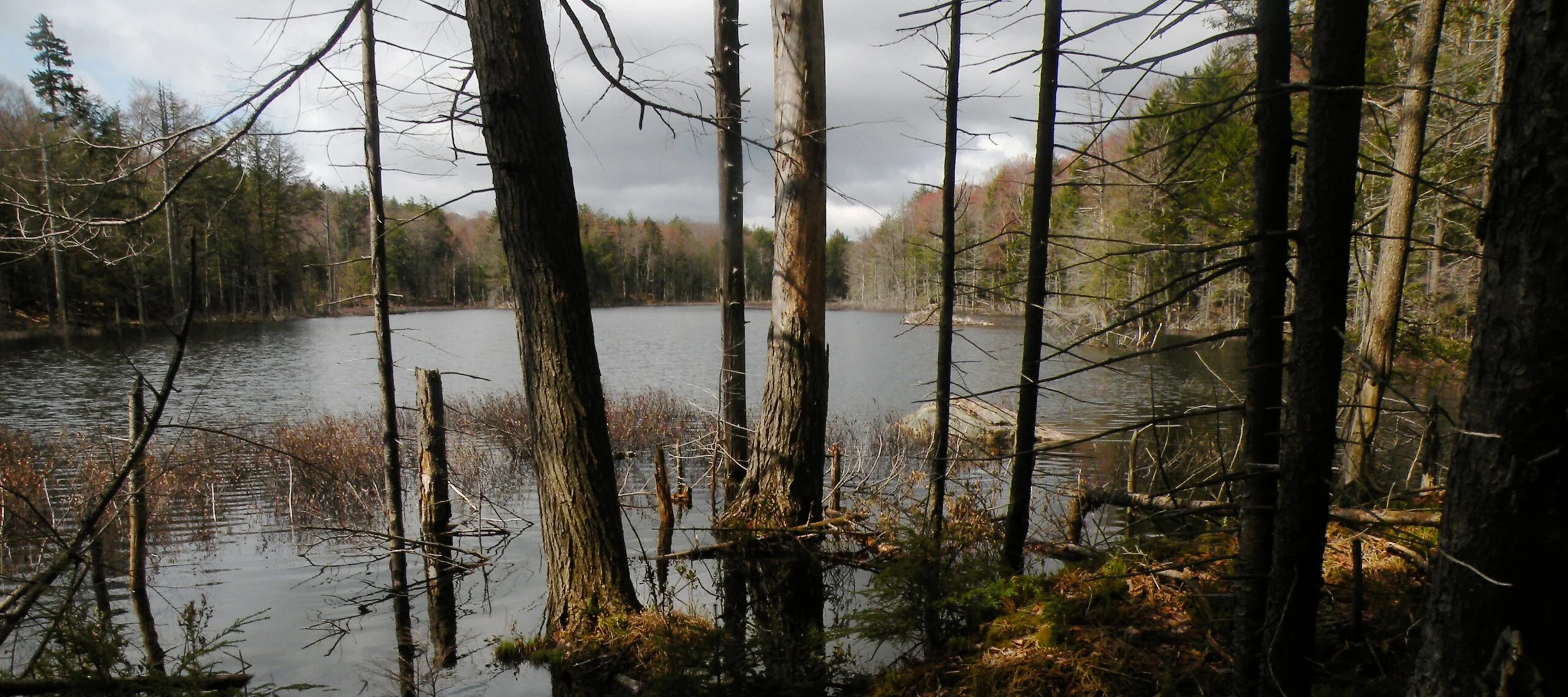 Cotton Lake: The Wilderness No One Knows