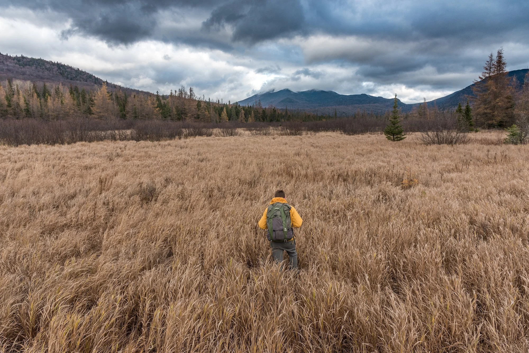 Five Reasons Why I’m Hiking from Boreas Ponds to the Adirondack Park Agency