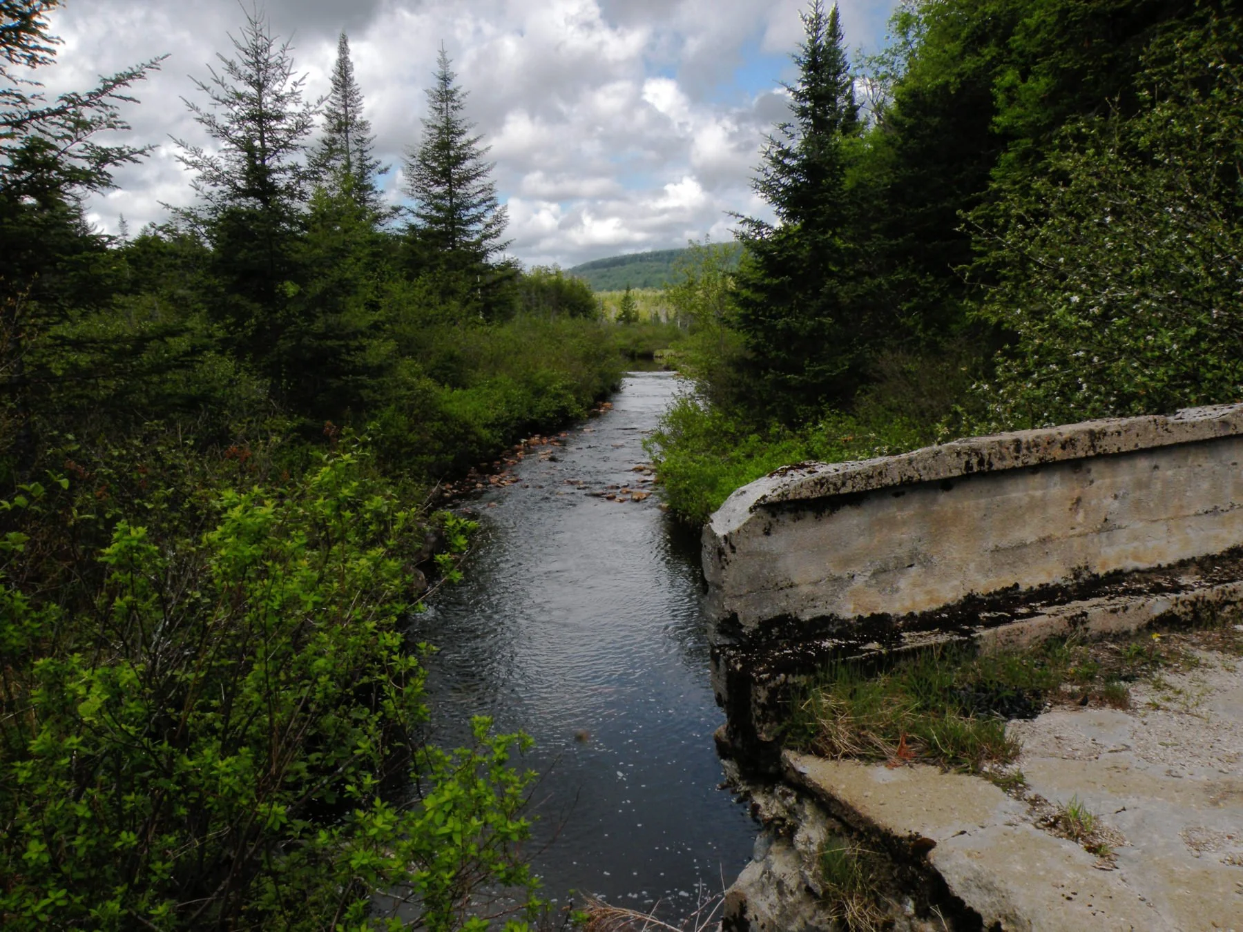 Wilderness Advocates Express Concern over Black River Plan in Adirondacks