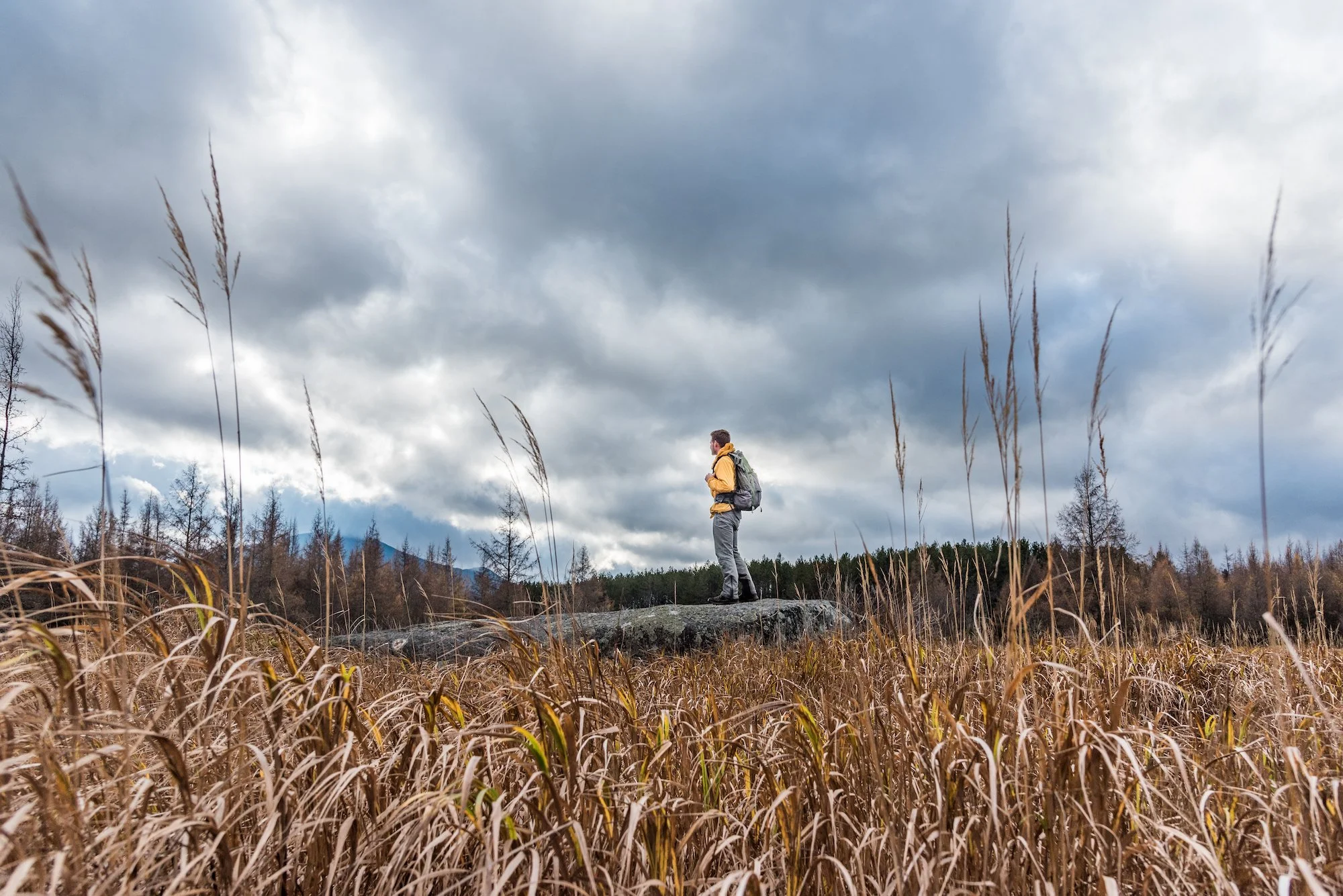 Advocate To Walk From Boreas Ponds To November APA Meeting With More Than 1,000 Letters Supporting Full Wilderness Classification