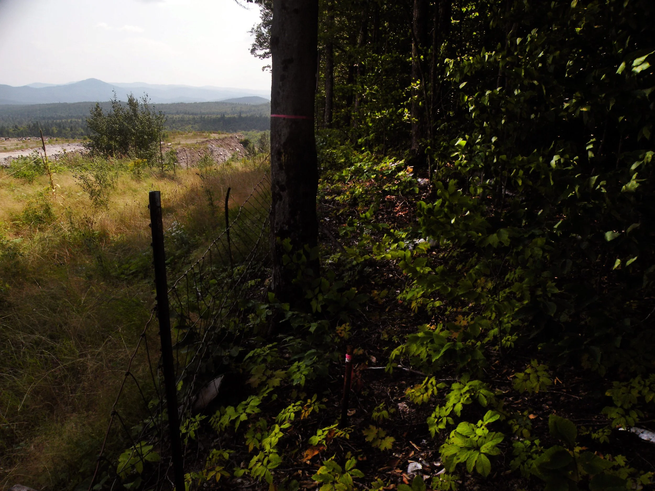 Cuomo’s Divisive Adirondack Legacy