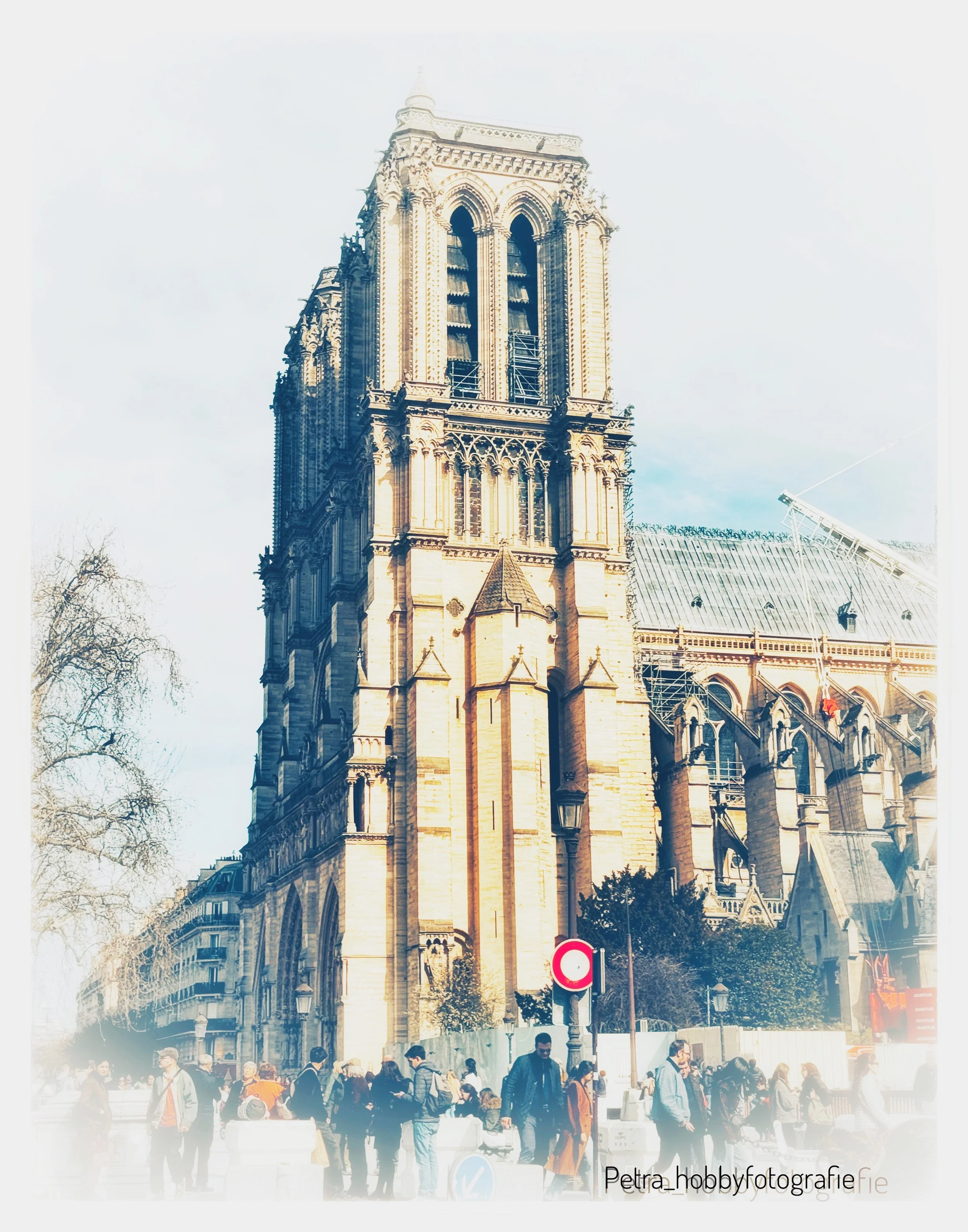 IMG_1552.jpeg