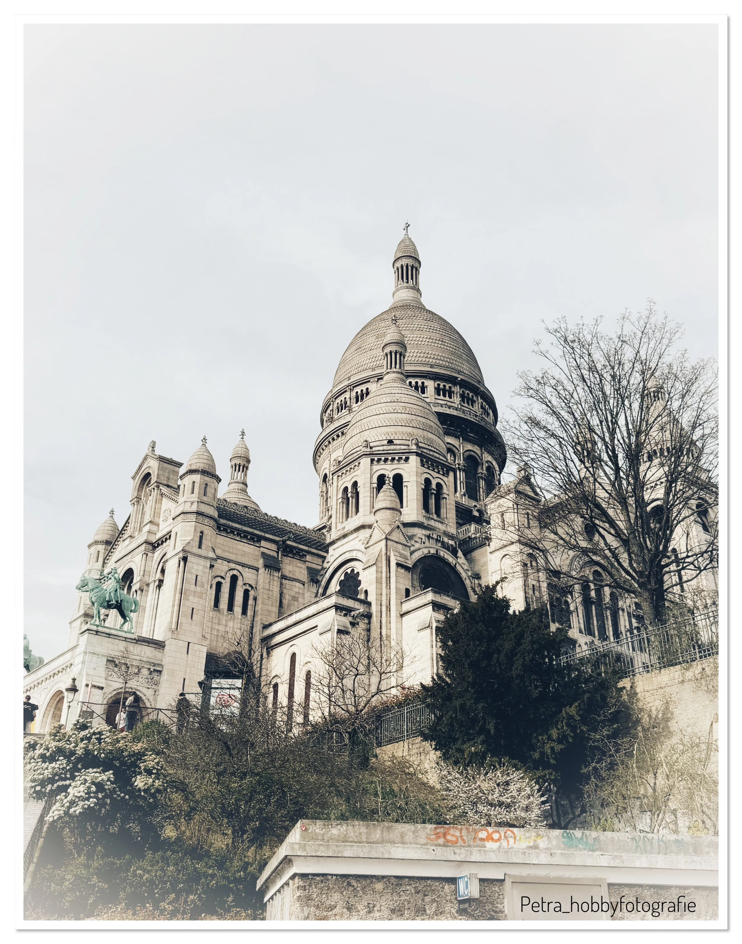 IMG_2024.jpeg