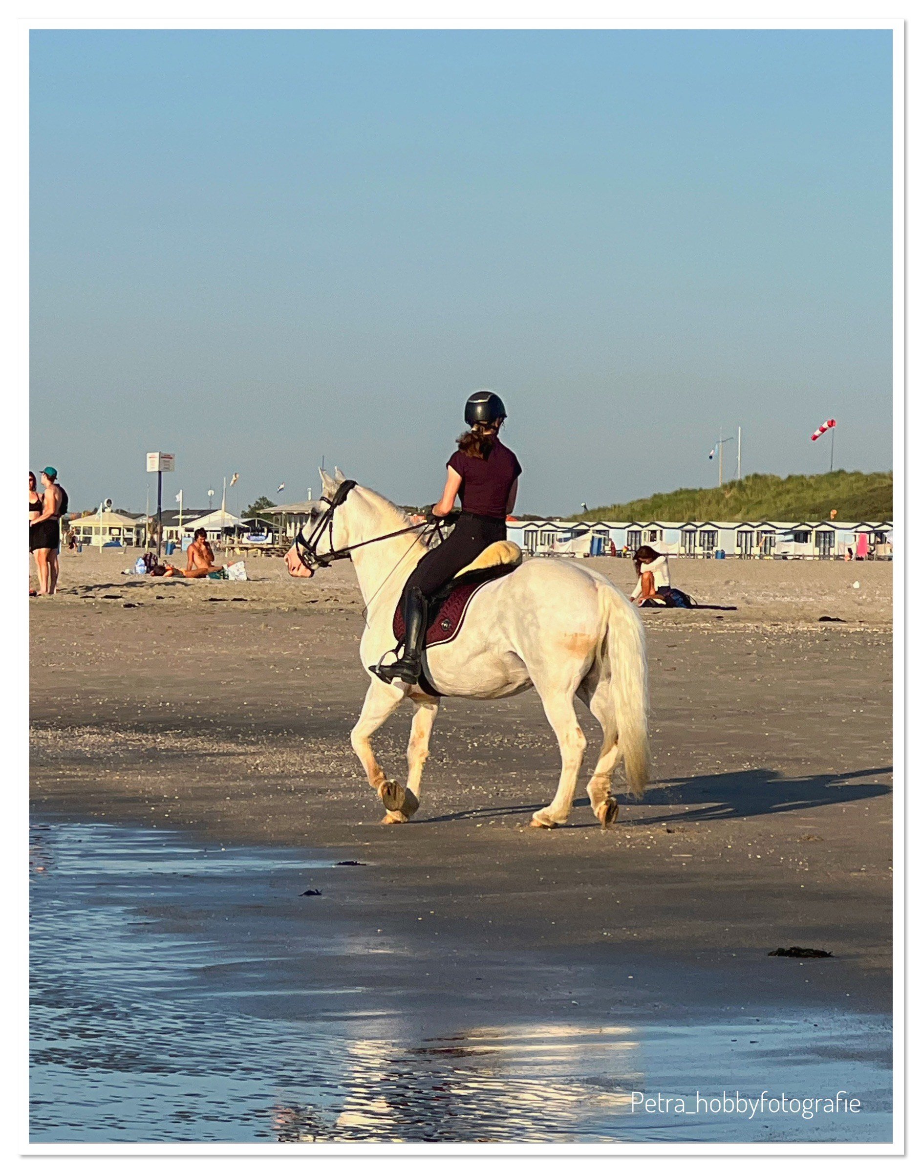 paard op het strand (zie meer)