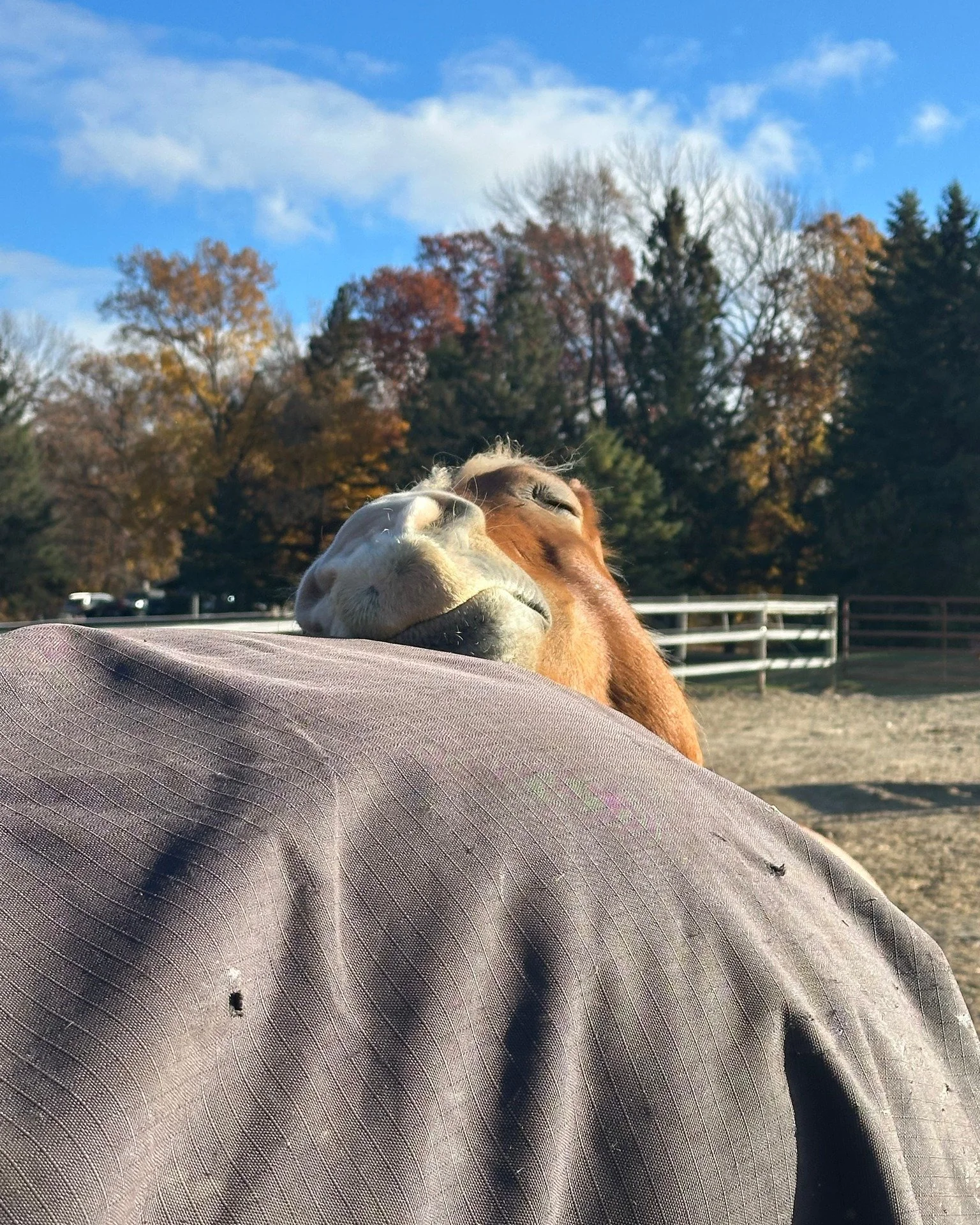 Someone had too much fun last night.