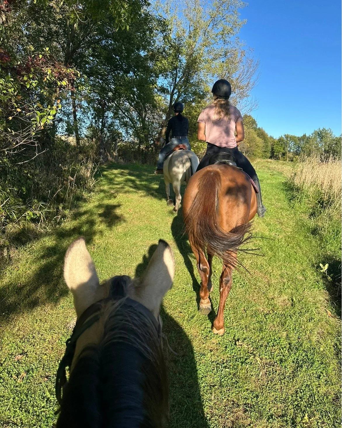 Looking for a place to ride before the snow flies? Our trails are open&mdash;come join us on them!